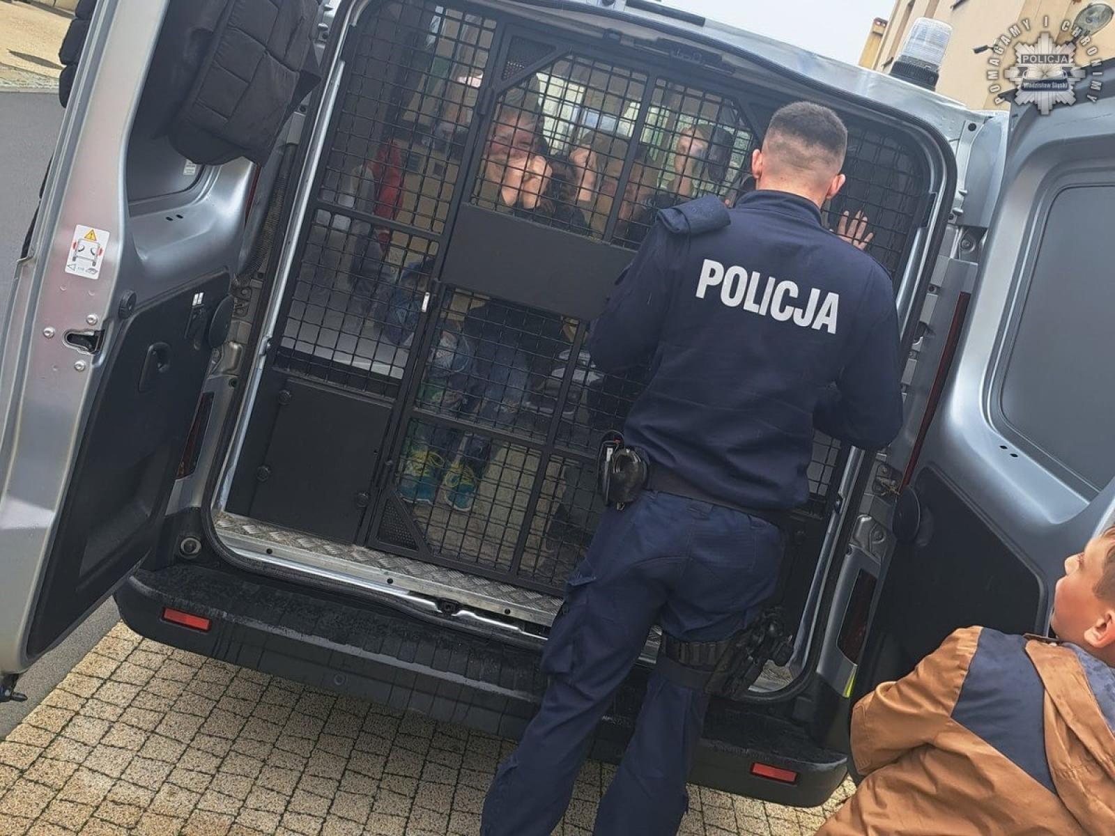 Zdjęcie w galerii na portalu naszwodzislaw.com: Festyn z rodziną zastępczą z udziałem wodzisławskich mundurowych wiadomości z regionu