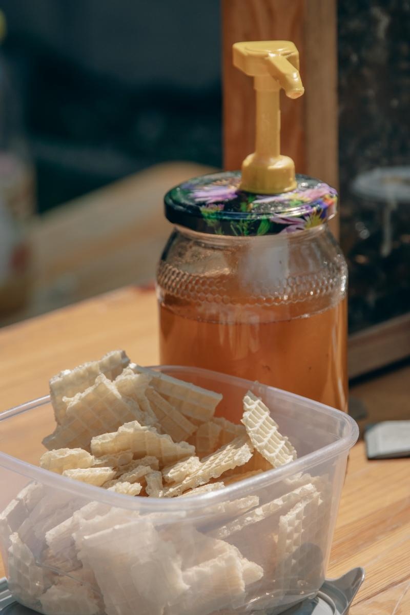 Zdjęcie w galerii na portalu naszwodzislaw.com: Zielony szlak pełen wyzwań. Wodzisławski Eko-Rajd za nami [FOTO] wiadomości z regionu