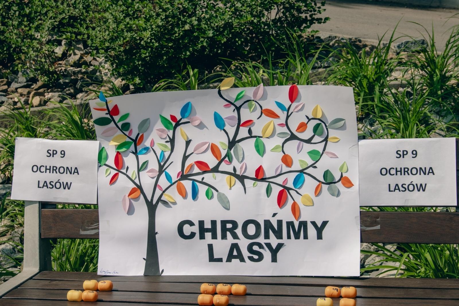 Zdjęcie w galerii na portalu naszwodzislaw.com: Zielony szlak pełen wyzwań. Wodzisławski Eko-Rajd za nami [FOTO] wiadomości z regionu