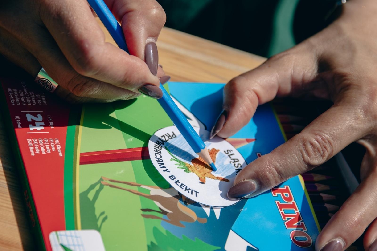 Zdjęcie w galerii na portalu naszwodzislaw.com: Zielony szlak pełen wyzwań. Wodzisławski Eko-Rajd za nami [FOTO] wiadomości z regionu