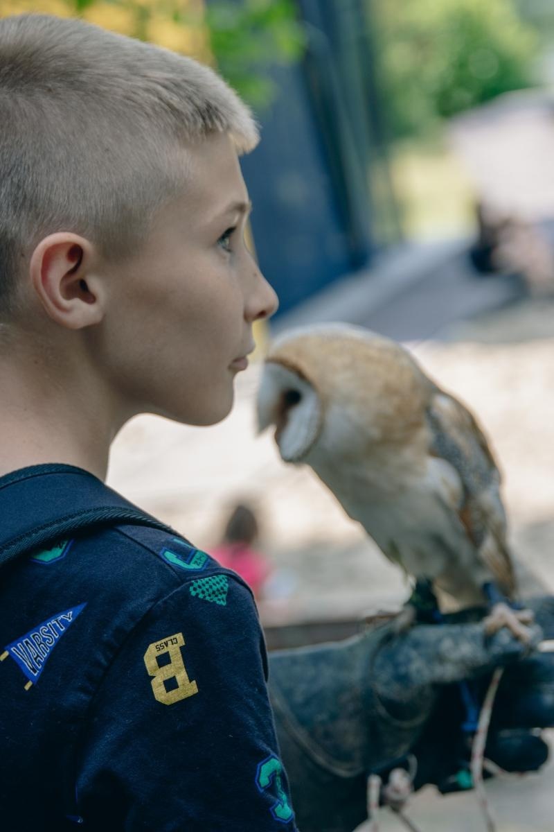 Zdjęcie w galerii na portalu naszwodzislaw.com: Zielony szlak pełen wyzwań. Wodzisławski Eko-Rajd za nami [FOTO] wiadomości z regionu