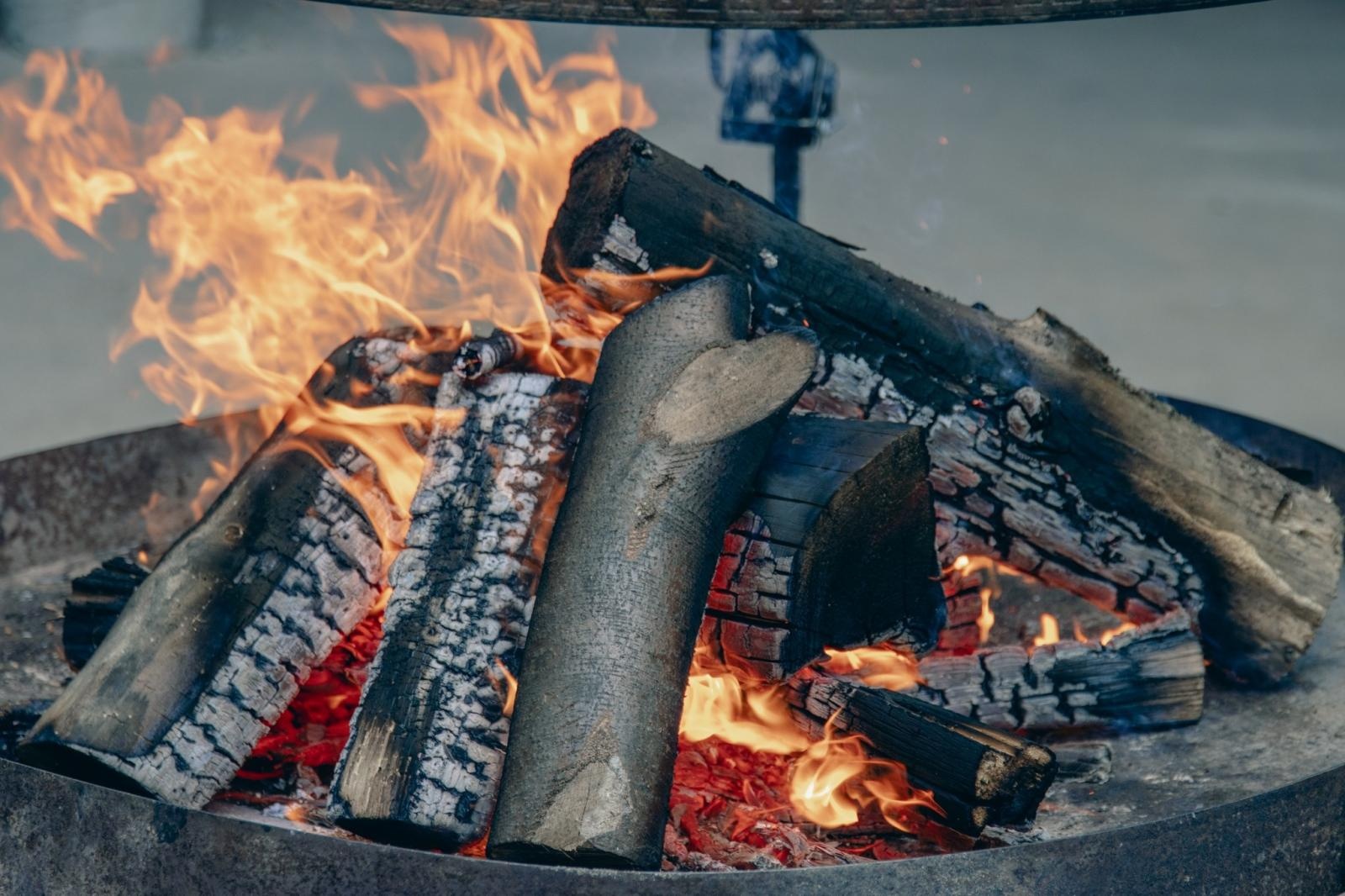 Zdjęcie w galerii na portalu naszwodzislaw.com: Zielony szlak pełen wyzwań. Wodzisławski Eko-Rajd za nami [FOTO] wiadomości z regionu