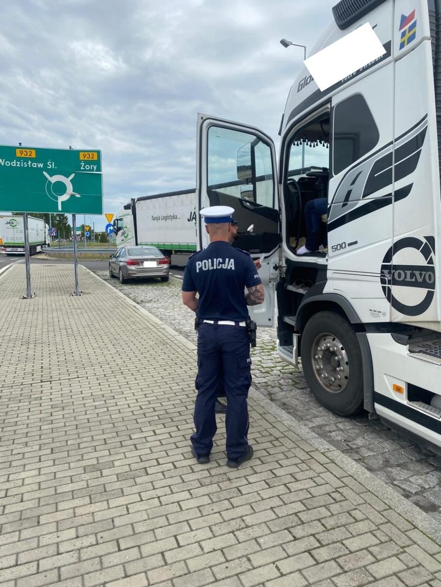 Zdjęcie w galerii na portalu naszwodzislaw.com: Wyścigi słoni na A1. Koniec pobłażania – czas na konsekwencje wiadomości z regionu