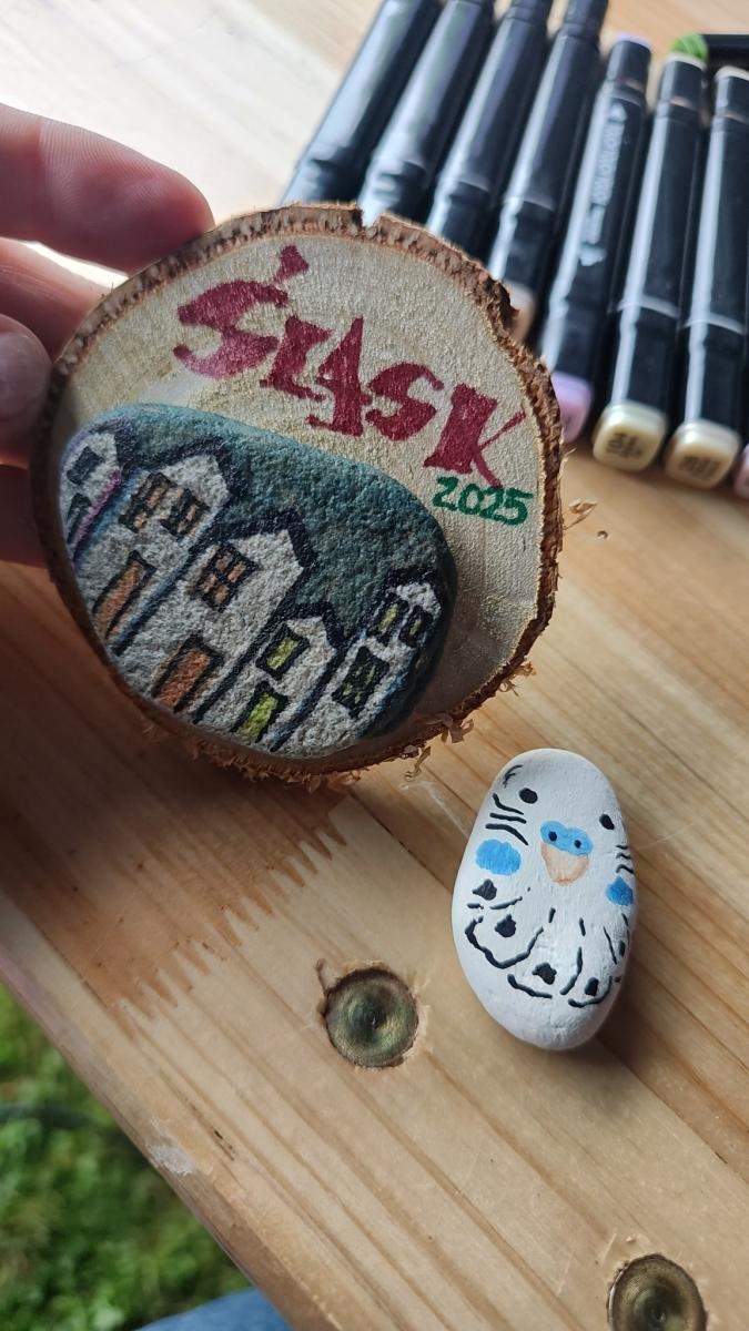 Zdjęcie w galerii na portalu naszwodzislaw.com: Festiwal Zdrowy Śląsk 2025 w Bluszczowie za nami [FOTO] wiadomości z regionu