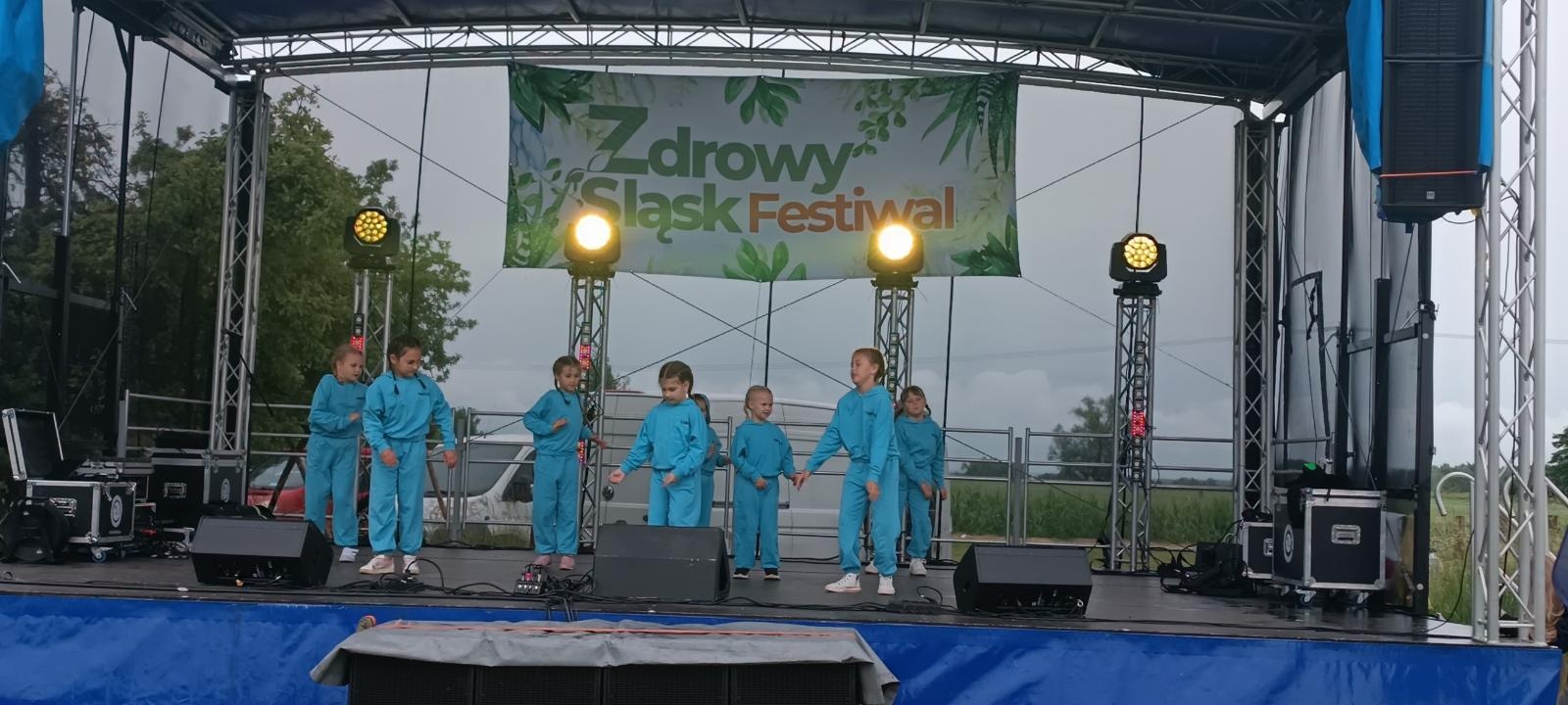 Zdjęcie w galerii na portalu naszwodzislaw.com: Festiwal Zdrowy Śląsk 2025 w Bluszczowie za nami [FOTO] wiadomości z regionu