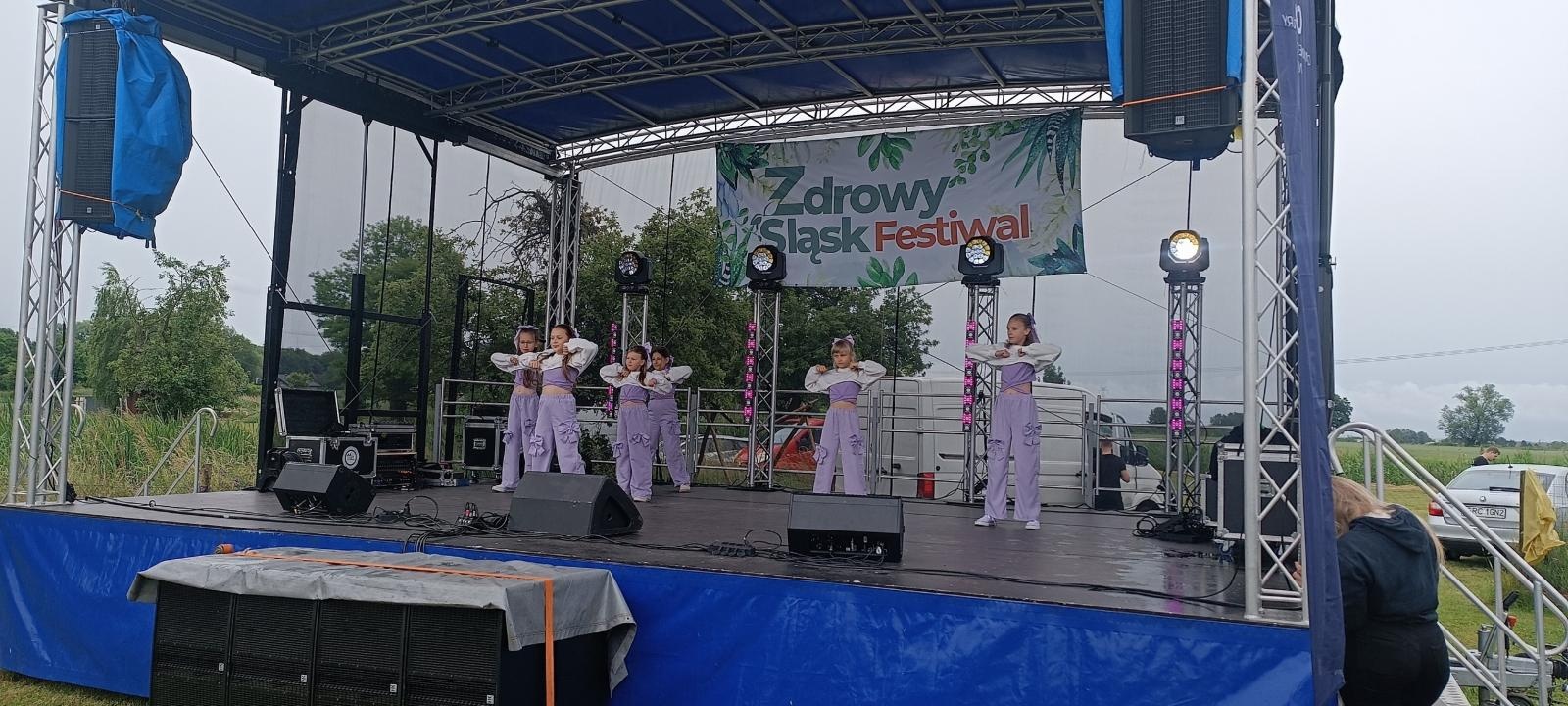 Zdjęcie w galerii na portalu naszwodzislaw.com: Festiwal Zdrowy Śląsk 2025 w Bluszczowie za nami [FOTO] wiadomości z regionu