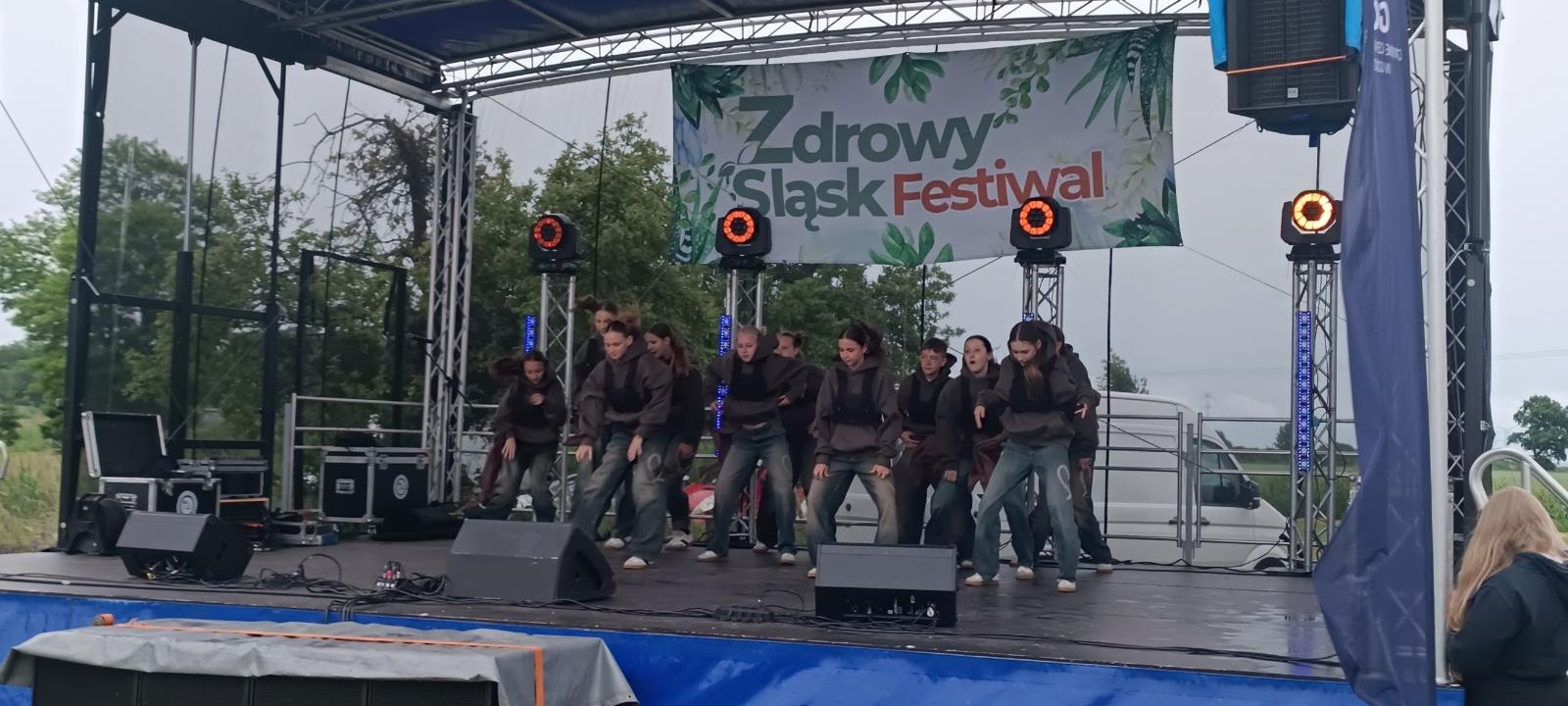 Zdjęcie w galerii na portalu naszwodzislaw.com: Festiwal Zdrowy Śląsk 2025 w Bluszczowie za nami [FOTO] wiadomości z regionu