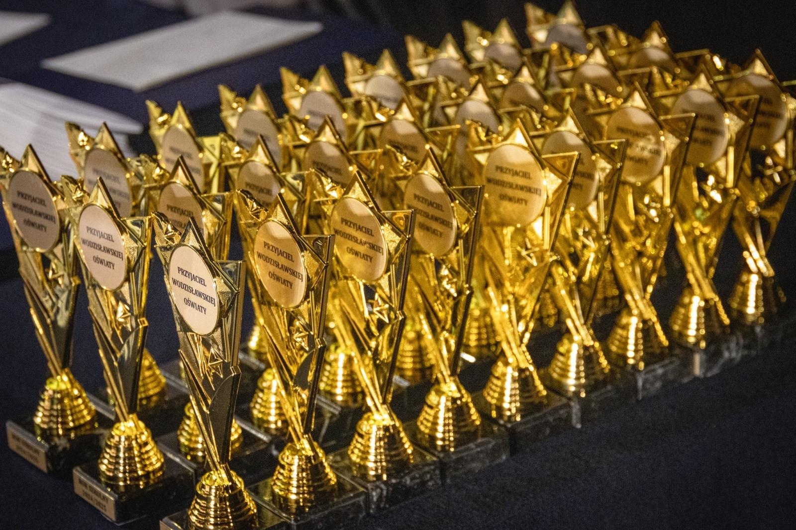 Zdjęcie w galerii na portalu naszwodzislaw.com: Uczniowie, pedagodzy i przyjaciele szkół nagrodzeni [FOTO] wiadomości z regionu