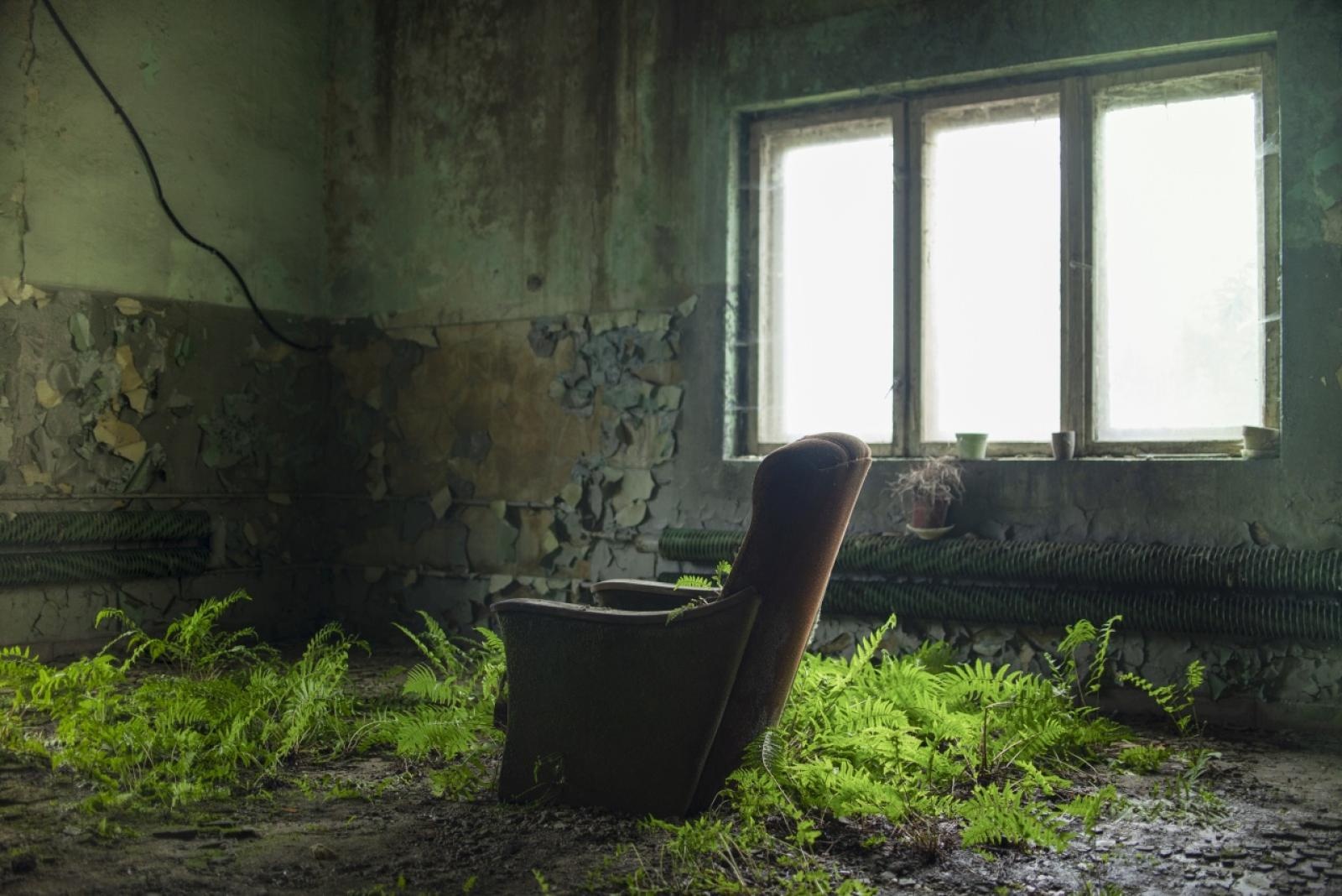 Zdjęcie w galerii na portalu naszwodzislaw.com: Długi weekend z Fitoglosjami w Ignacym wiadomości z regionu