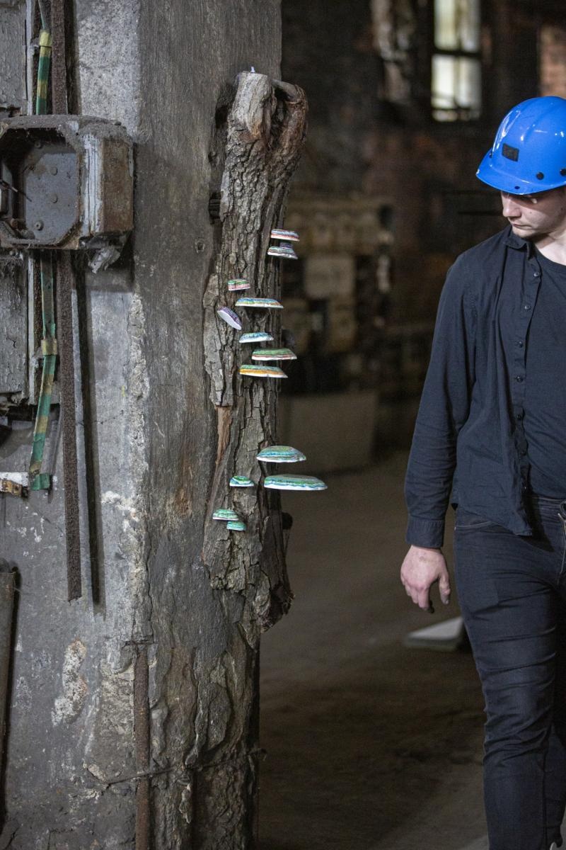 Zdjęcie w galerii na portalu naszwodzislaw.com: Długi weekend z Fitoglosjami w Ignacym wiadomości z regionu