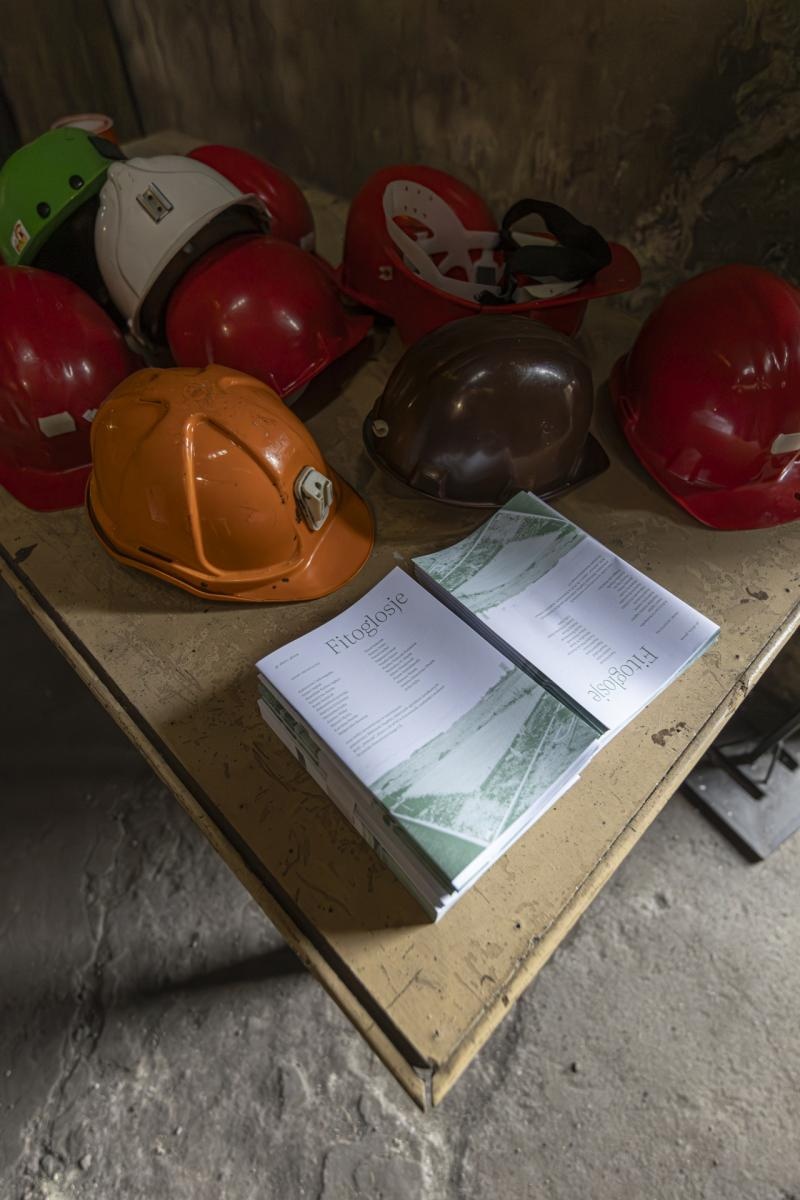 Zdjęcie w galerii na portalu naszwodzislaw.com: Długi weekend z Fitoglosjami w Ignacym wiadomości z regionu