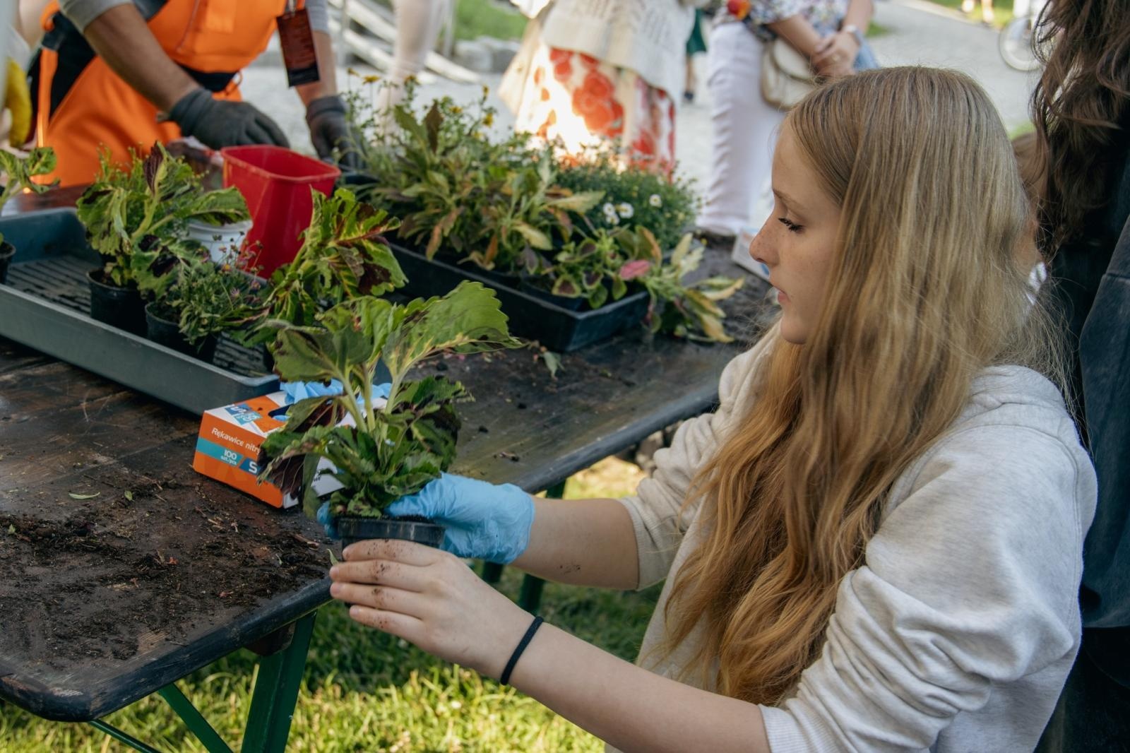 Zdjęcie w galerii na portalu naszwodzislaw.com: VIII Wodzisławska Noc Świętojańska za nami [FOTO] wiadomości z regionu