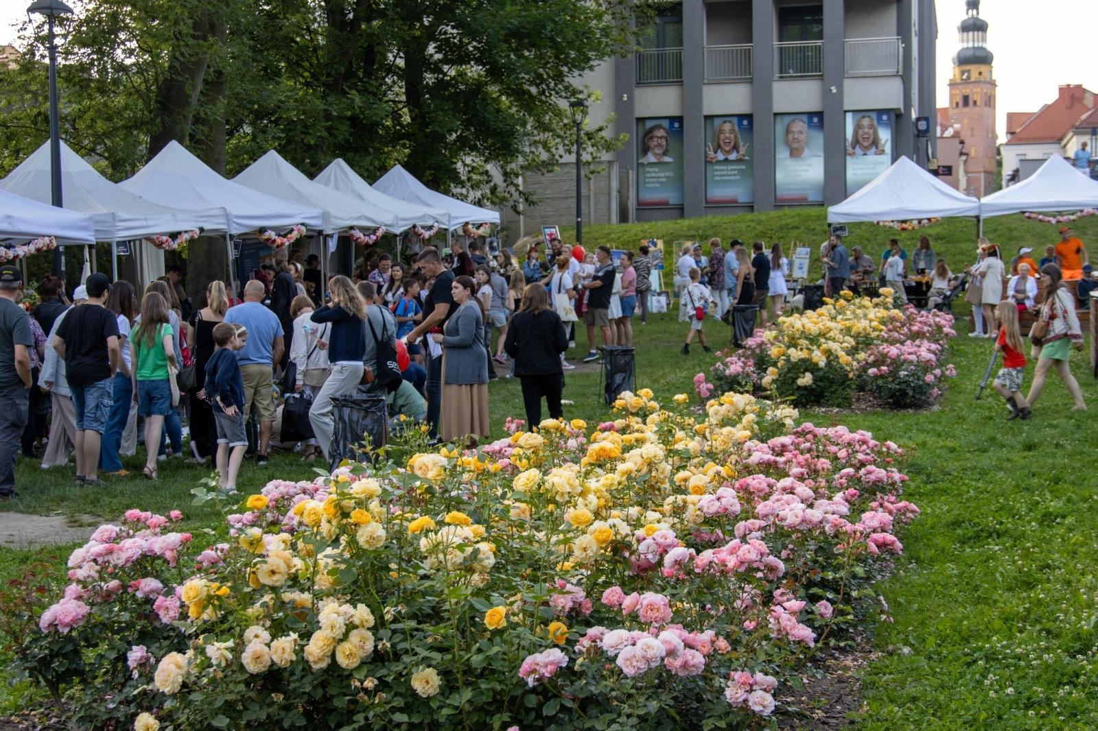 Zdjęcie w galerii na portalu naszwodzislaw.com: VIII Wodzisławska Noc Świętojańska za nami [FOTO] wiadomości z regionu