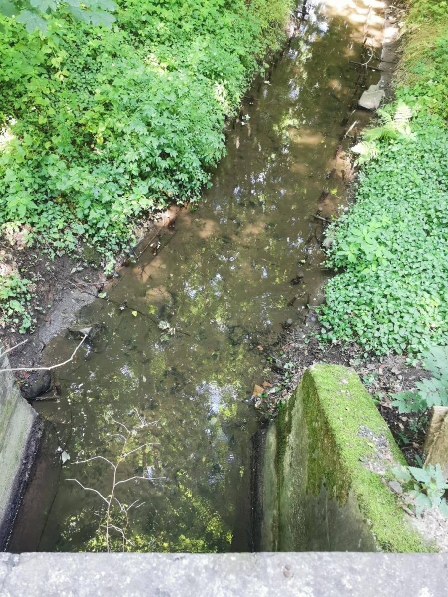 Zdjęcie w galerii na portalu naszwodzislaw.com: Szczęśliwy finał groźnej sytuacji. Pomógł patrol drogówki wiadomości z regionu