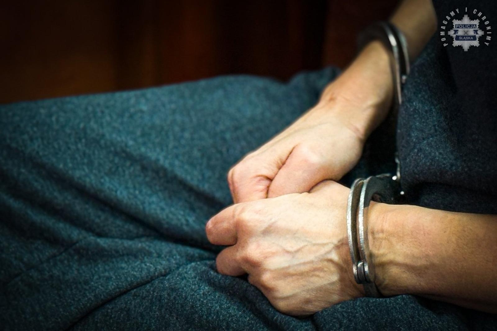 Zdjęcie w galerii na portalu naszwodzislaw.com: Prali brudne pieniądze, czerpali korzyści z prostytucji wiadomości z regionu