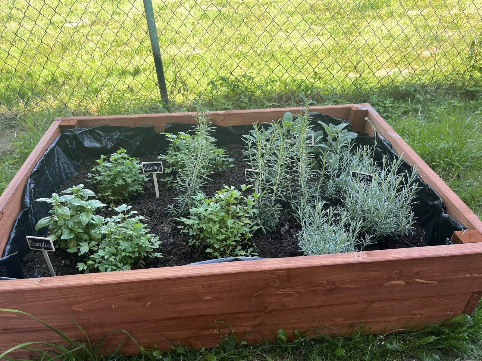 Zdjęcie w galerii na portalu naszwodzislaw.com: Inicjatywa społeczna w Podbuczu. Powstał ziołowy ogródek wiadomości z regionu