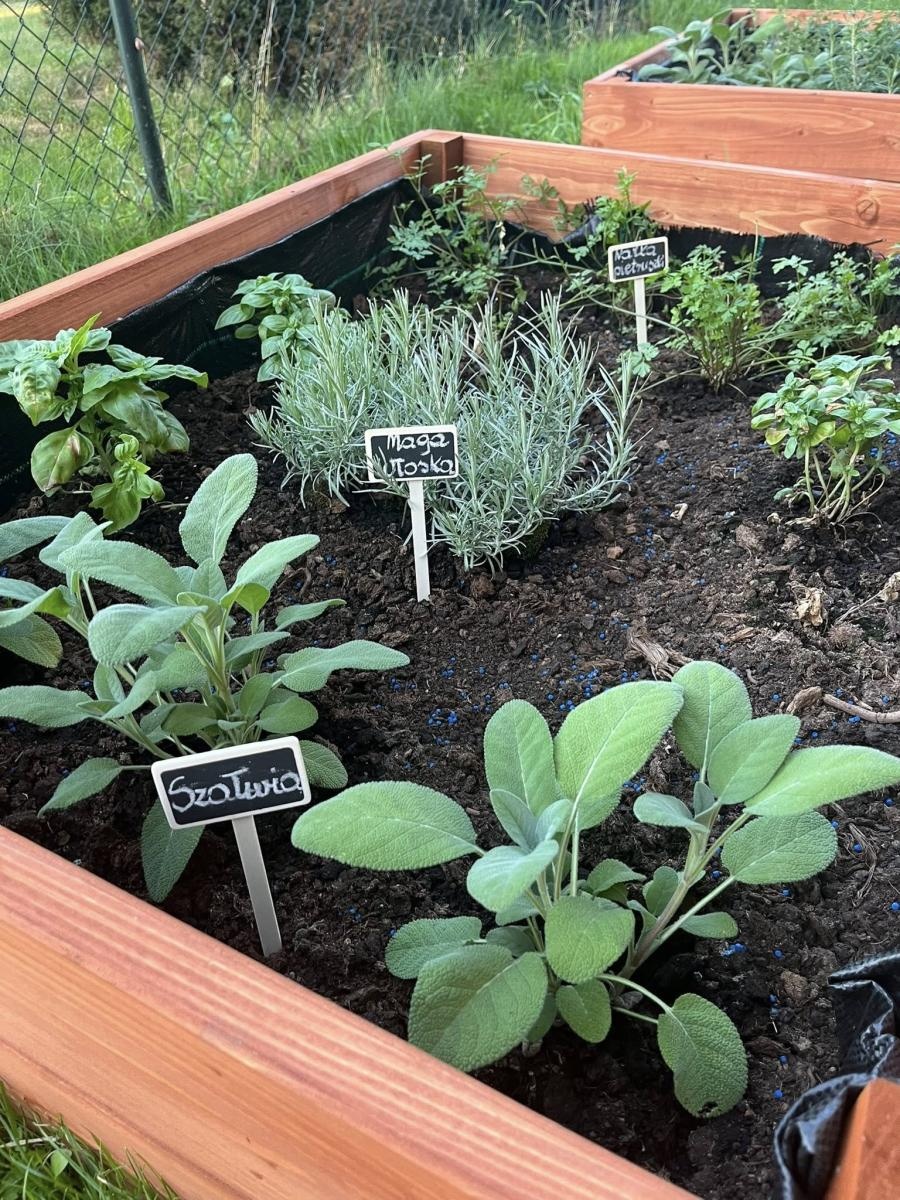 Zdjęcie w galerii na portalu naszwodzislaw.com: Inicjatywa społeczna w Podbuczu. Powstał ziołowy ogródek wiadomości z regionu