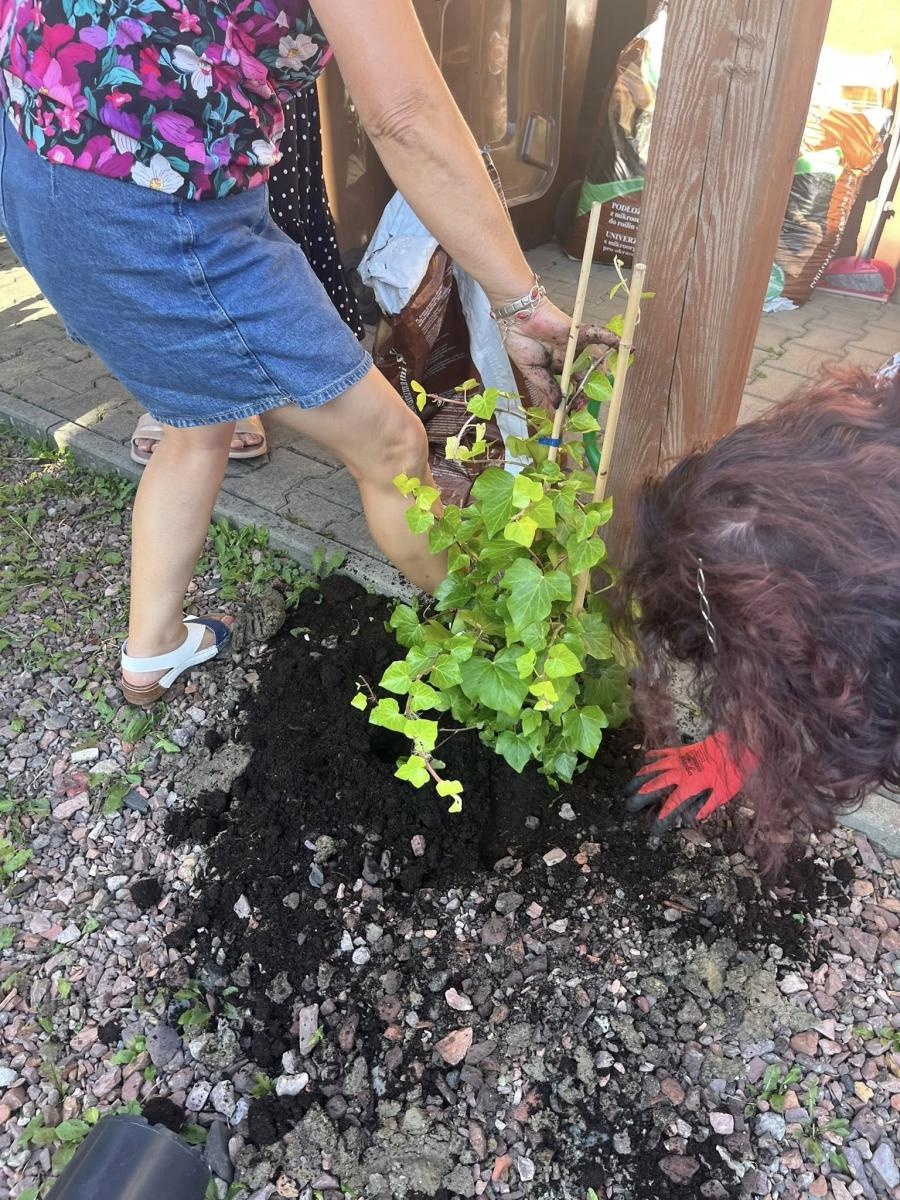 Zdjęcie w galerii na portalu naszwodzislaw.com: Inicjatywa społeczna w Podbuczu. Powstał ziołowy ogródek wiadomości z regionu