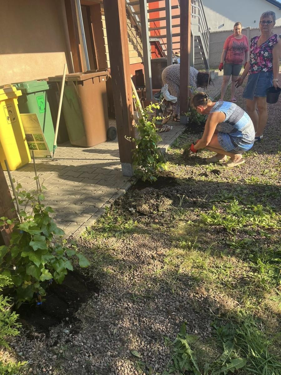 Zdjęcie w galerii na portalu naszwodzislaw.com: Inicjatywa społeczna w Podbuczu. Powstał ziołowy ogródek wiadomości z regionu