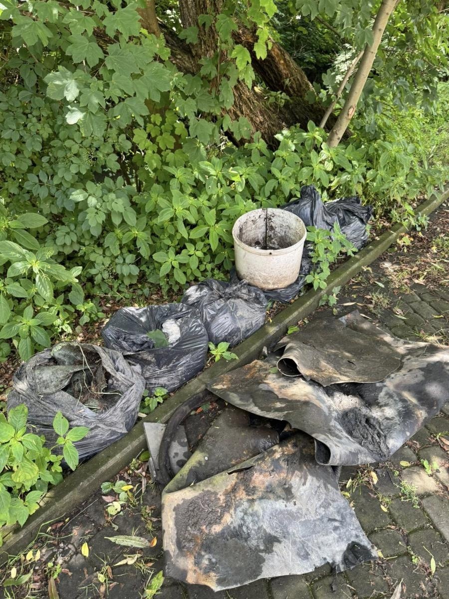 Zdjęcie w galerii na portalu naszwodzislaw.com: Letnie sprzątanie Leśnicy. Skala zanieczyszczeń zaskoczyła wolontariuszy wiadomości z regionu