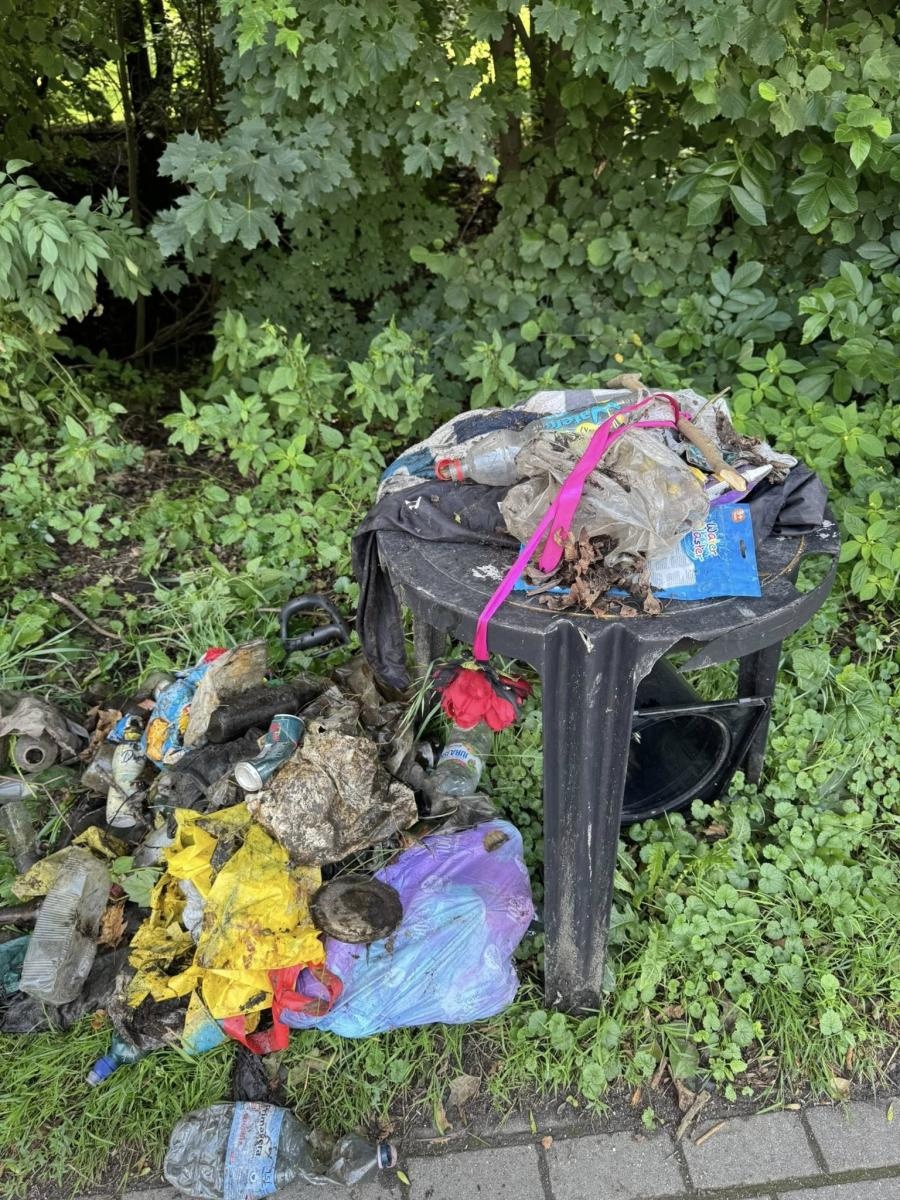 Zdjęcie w galerii na portalu naszwodzislaw.com: Letnie sprzątanie Leśnicy. Skala zanieczyszczeń zaskoczyła wolontariuszy wiadomości z regionu