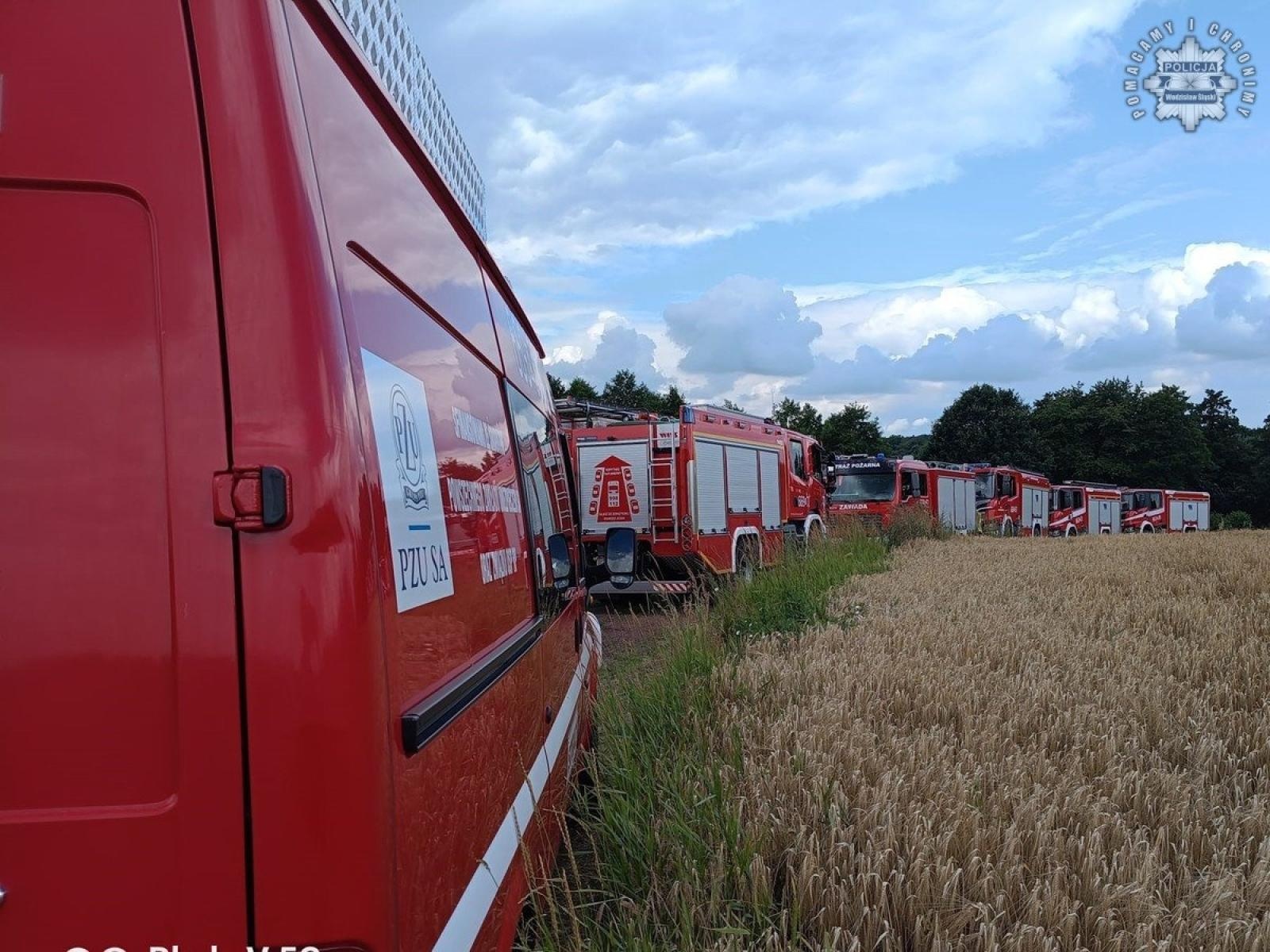 Zdjęcie w galerii na portalu naszwodzislaw.com: Zaginiony 32-letni mieszkaniec Pszowa odnaleziony przez policjantów wiadomości z regionu