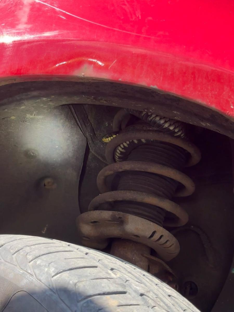 Zdjęcie w galerii na portalu naszwodzislaw.com: Nietypowa interwencja w Czyżowicach. Wąż schował się pod maską samochodu wiadomości z regionu