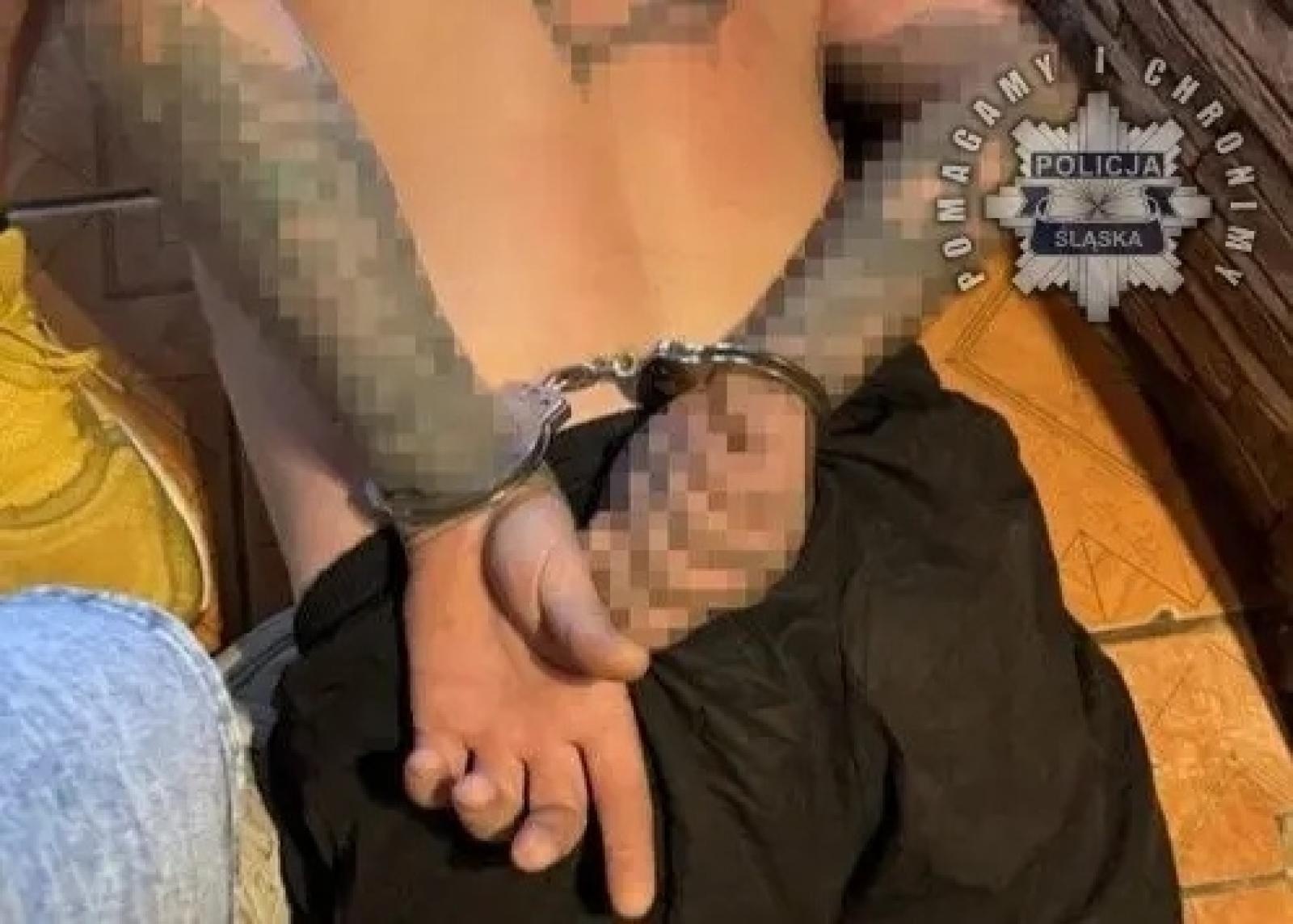 Zdjęcie w galerii na portalu naszwodzislaw.com: Śląscy łowcy głów dopadli groźnych przestępców w kraju i za granicą wiadomości z regionu