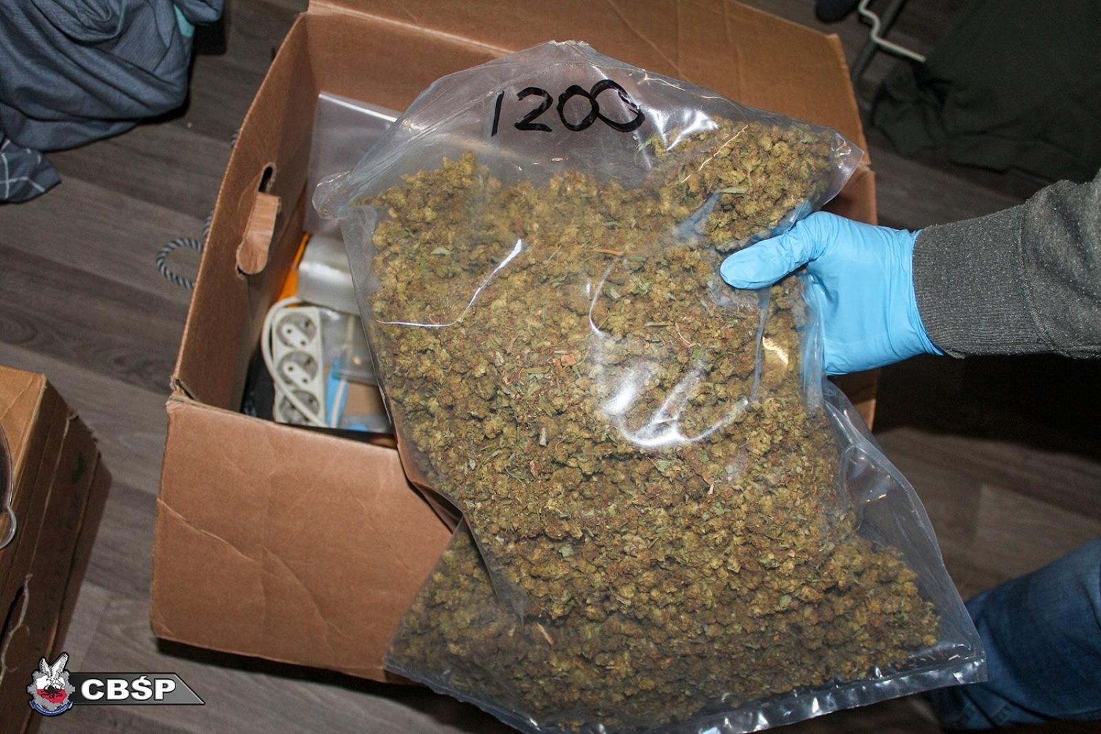 Zdjęcie w galerii na portalu naszwodzislaw.com: Gigantyczna operacja CBŚP: ponad 800 kg narkotyków i kilkanaście ton marihuany w transgranicznym obrocie wiadomości z regionu
