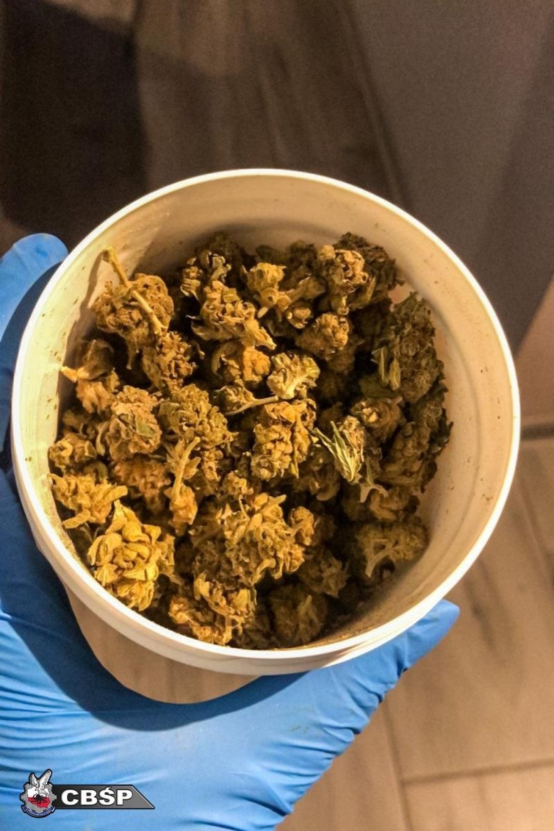 Zdjęcie w galerii na portalu naszwodzislaw.com: Gigantyczna operacja CBŚP: ponad 800 kg narkotyków i kilkanaście ton marihuany w transgranicznym obrocie wiadomości z regionu