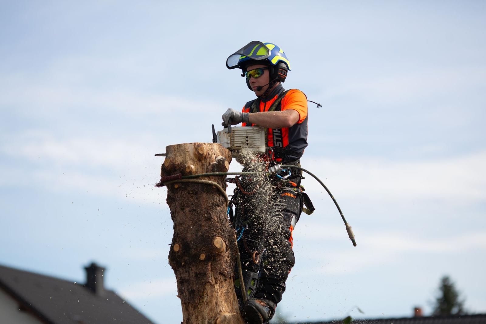 Zdjęcie w galerii na portalu naszwodzislaw.com: Dożynki 2025 w Radlinie. Tradycja, kultura i wspólne świętowanie [FOTO] wiadomości z regionu