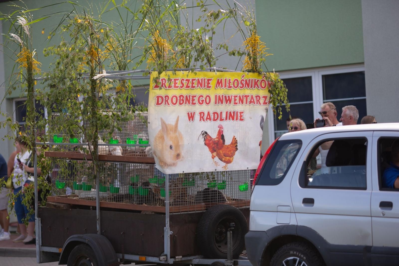 Zdjęcie w galerii na portalu naszwodzislaw.com: Dożynki 2025 w Radlinie. Tradycja, kultura i wspólne świętowanie [FOTO] wiadomości z regionu