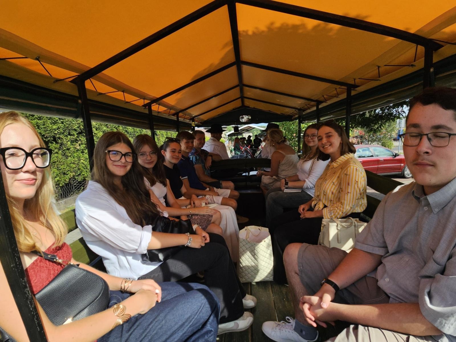 Zdjęcie w galerii na portalu naszwodzislaw.com: Dożynki 2025 w Radlinie. Tradycja, kultura i wspólne świętowanie [FOTO] wiadomości z regionu