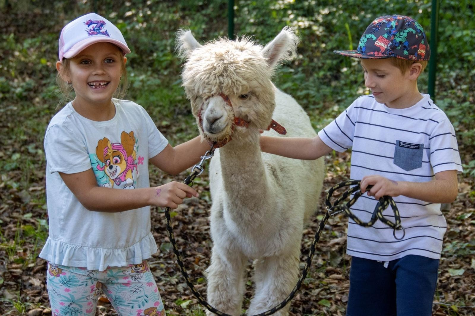 Zdjęcie w galerii na portalu naszwodzislaw.com: Przedszkolaki świętowały 10-lecie Rodzinnego Parku Rozrywki Trzy Wzgórza [FOTO] wiadomości z regionu