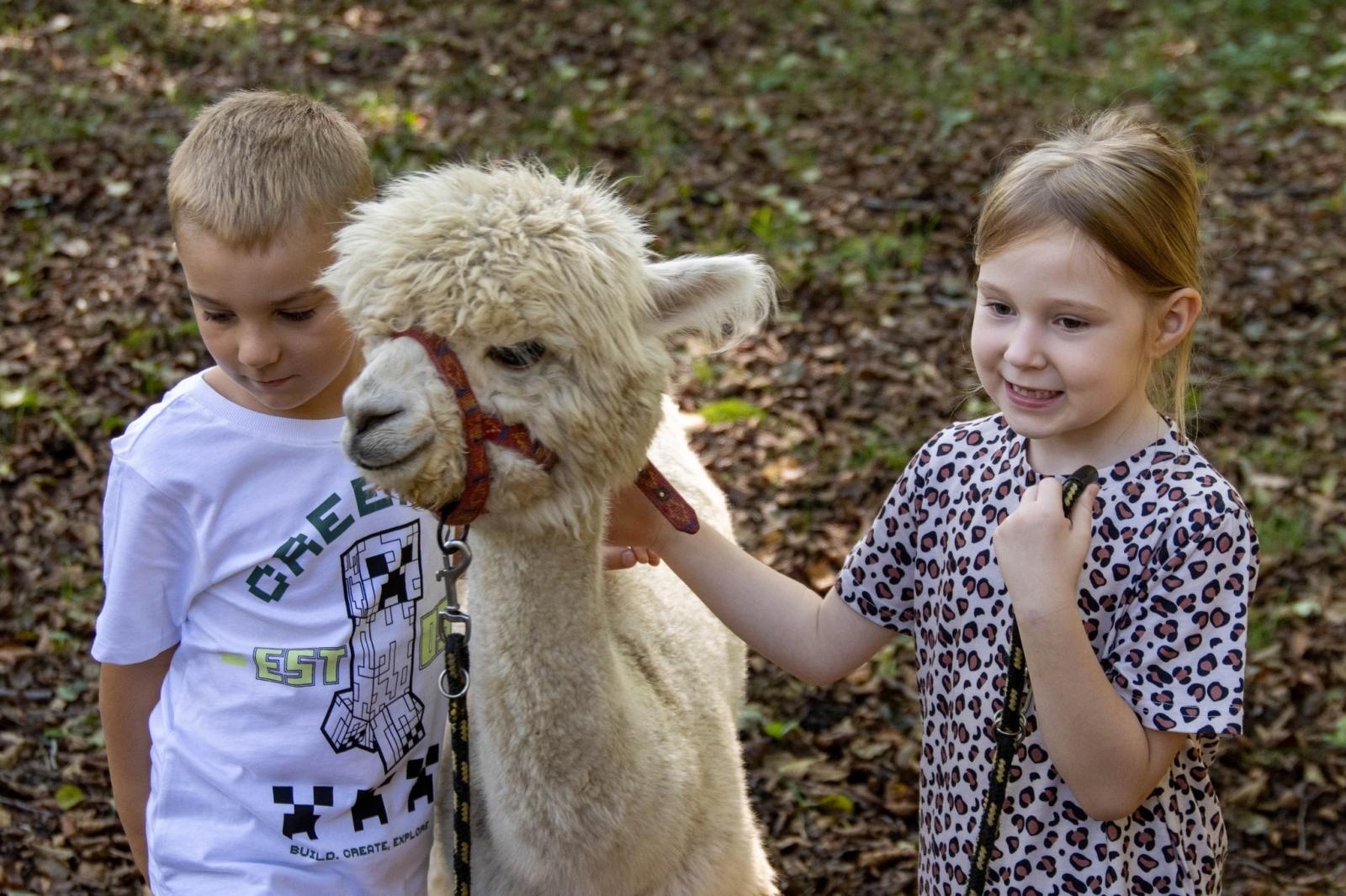 Zdjęcie w galerii na portalu naszwodzislaw.com: Przedszkolaki świętowały 10-lecie Rodzinnego Parku Rozrywki Trzy Wzgórza [FOTO] wiadomości z regionu