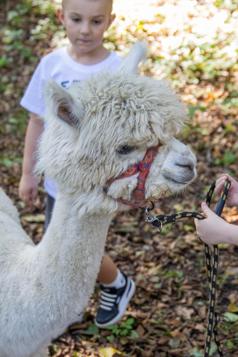 Zdjęcie w galerii na portalu naszwodzislaw.com: Przedszkolaki świętowały 10-lecie Rodzinnego Parku Rozrywki Trzy Wzgórza [FOTO] wiadomości z regionu