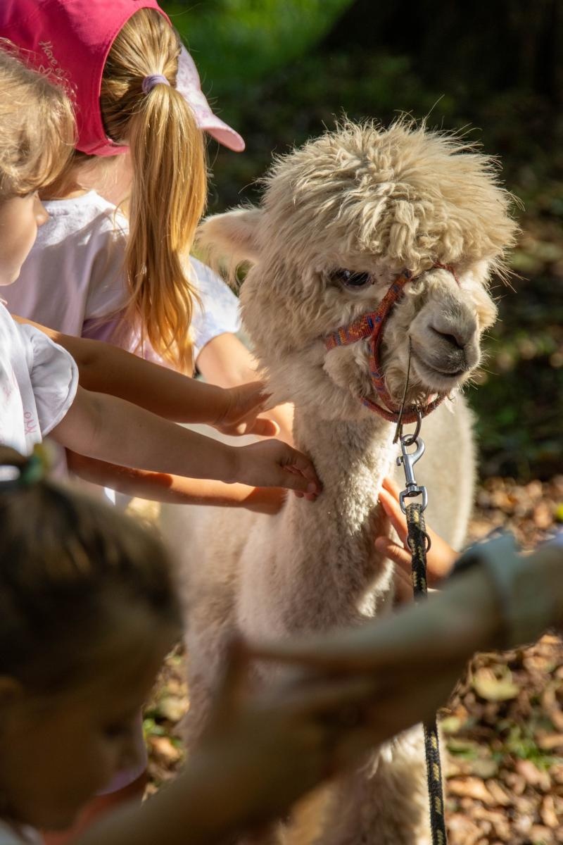 Zdjęcie w galerii na portalu naszwodzislaw.com: Przedszkolaki świętowały 10-lecie Rodzinnego Parku Rozrywki Trzy Wzgórza [FOTO] wiadomości z regionu