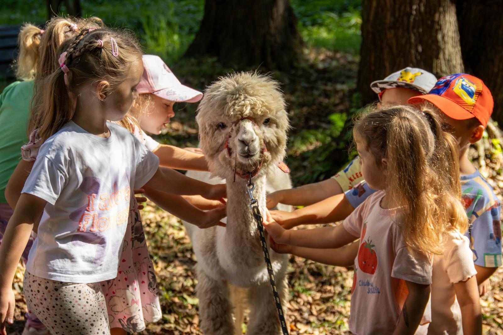 Zdjęcie w galerii na portalu naszwodzislaw.com: Przedszkolaki świętowały 10-lecie Rodzinnego Parku Rozrywki Trzy Wzgórza [FOTO] wiadomości z regionu