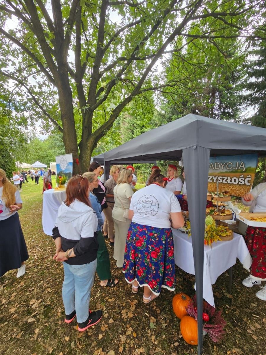 Zdjęcie w galerii na portalu naszwodzislaw.com: Festyn okazją do promocji rodzicielstwa zastępczego wiadomości z regionu