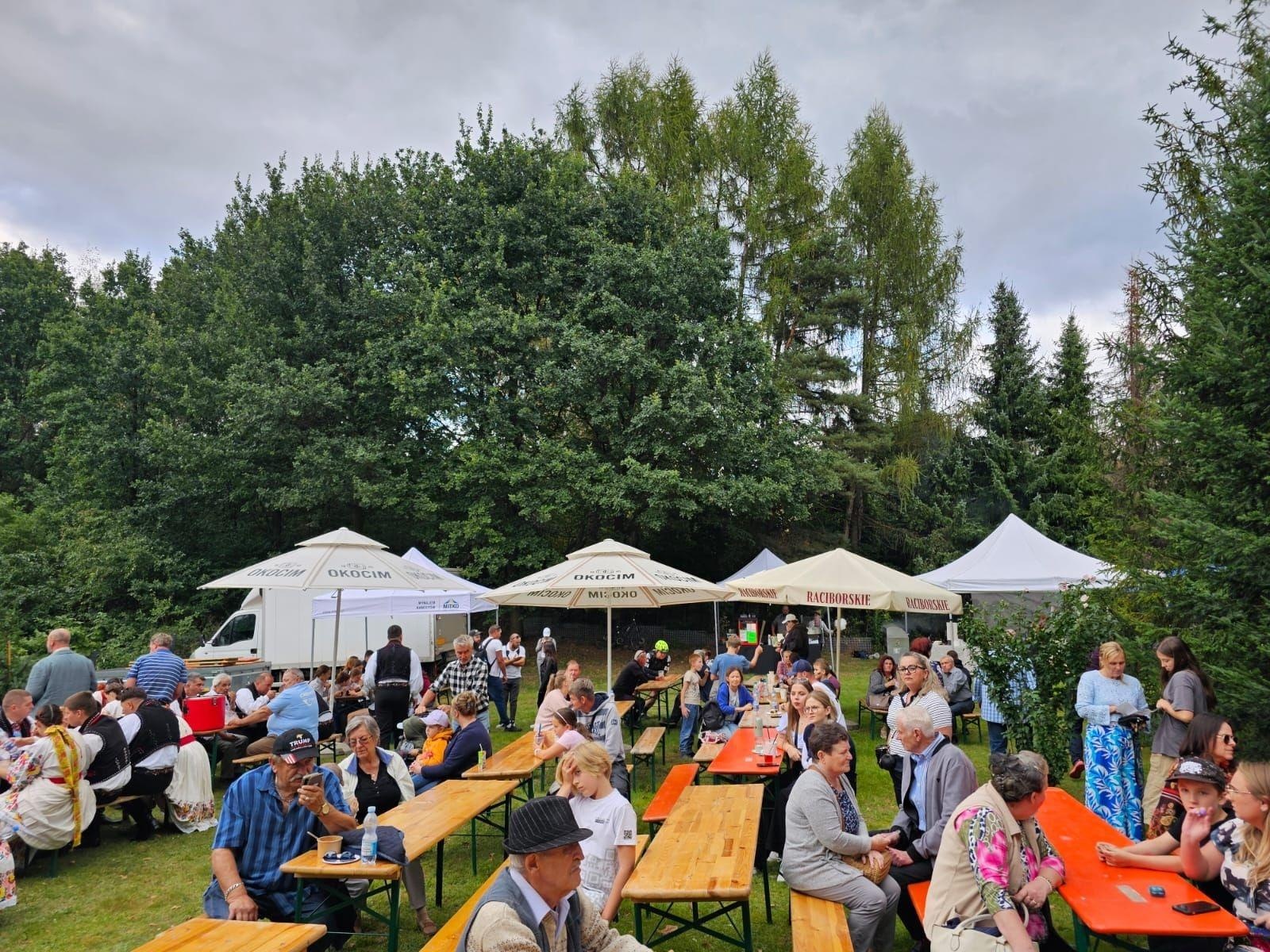 Zdjęcie w galerii na portalu naszwodzislaw.com: Festyn okazją do promocji rodzicielstwa zastępczego wiadomości z regionu