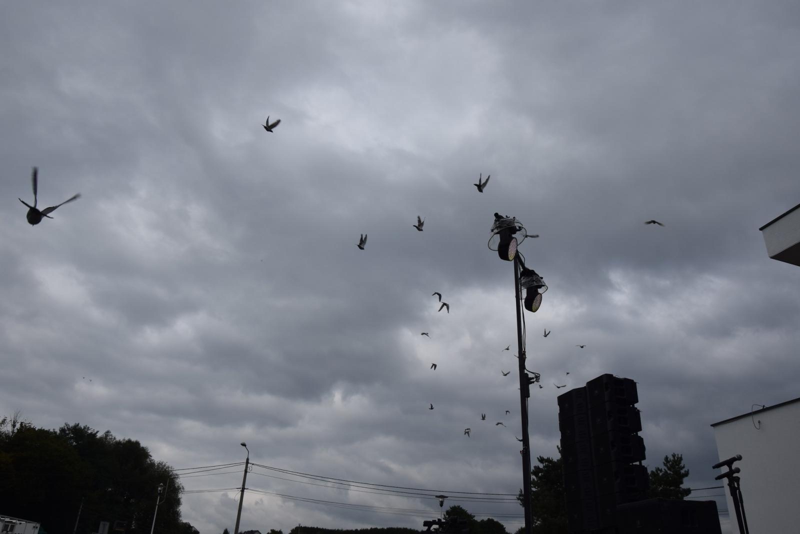 Zdjęcie w galerii na portalu naszwodzislaw.com: Boże z Twoich rąk żyjemy. Dożynki w Połomi [FOTO] wiadomości z regionu