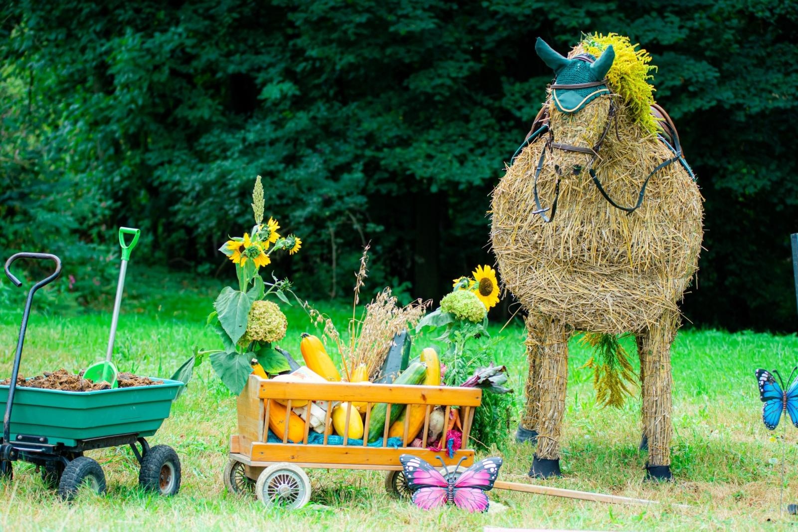 Zdjęcie w galerii na portalu naszwodzislaw.com: Gminne dożynki i zacny jubileusz Skrbeńska za nami [FOTO] wiadomości z regionu