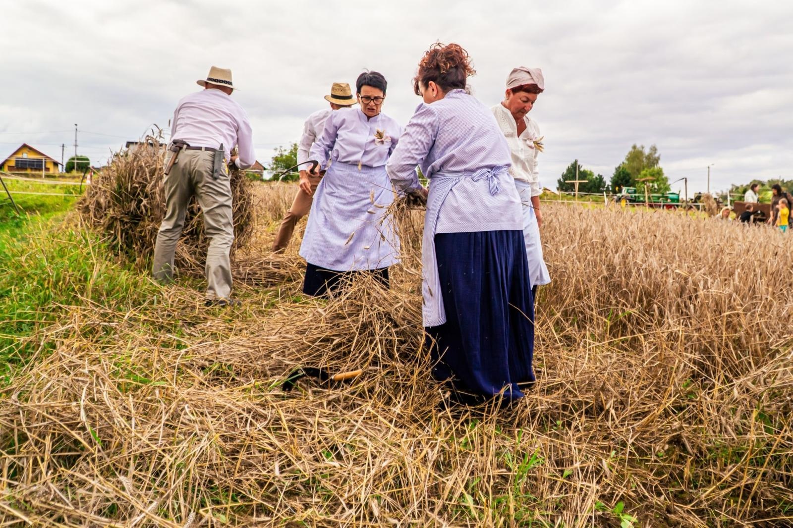 Zdjęcie w galerii na portalu naszwodzislaw.com: Gminne dożynki i zacny jubileusz Skrbeńska za nami [FOTO] wiadomości z regionu