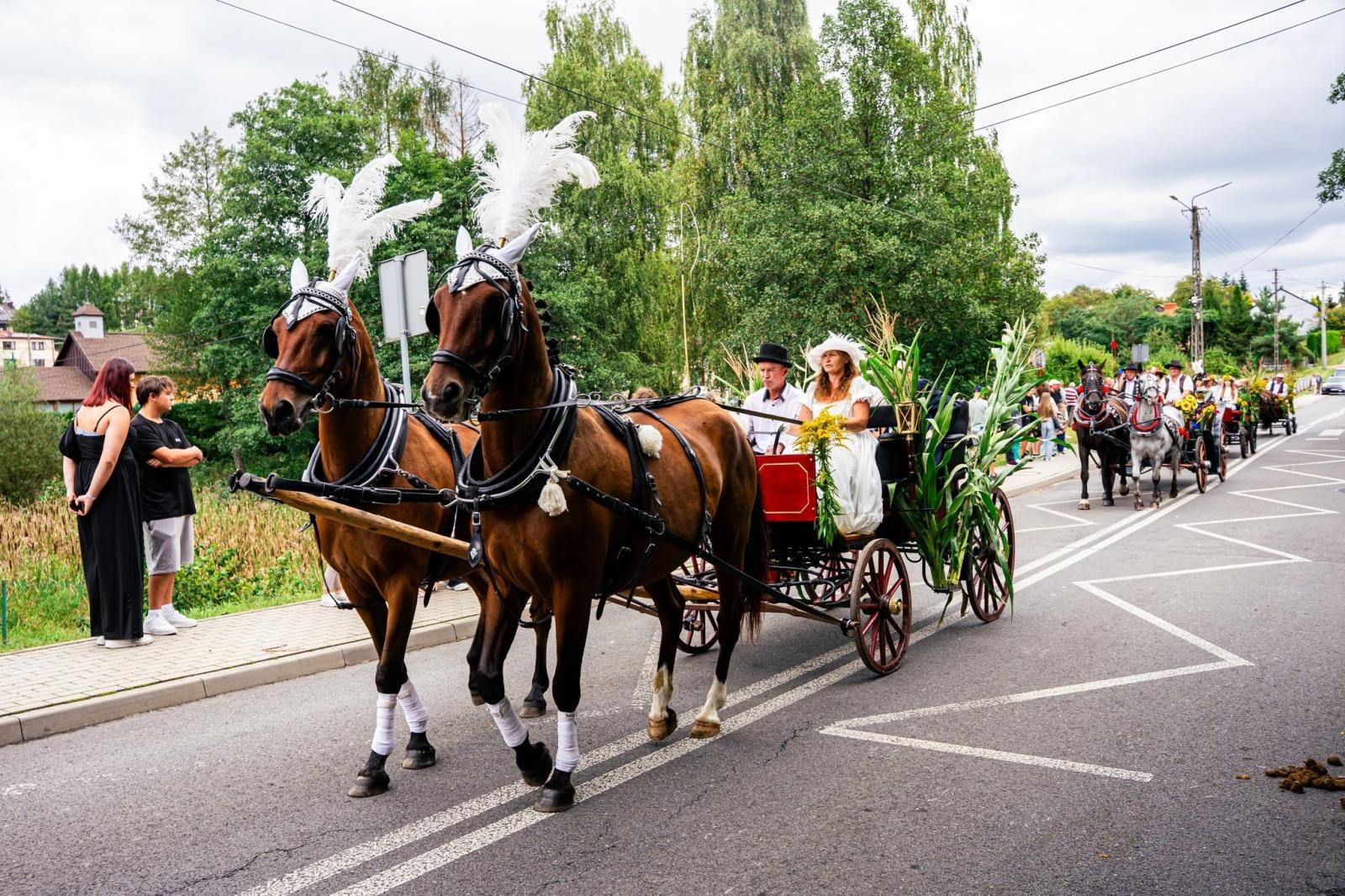 Zdjęcie w galerii na portalu naszwodzislaw.com: Gminne dożynki i zacny jubileusz Skrbeńska za nami [FOTO] wiadomości z regionu