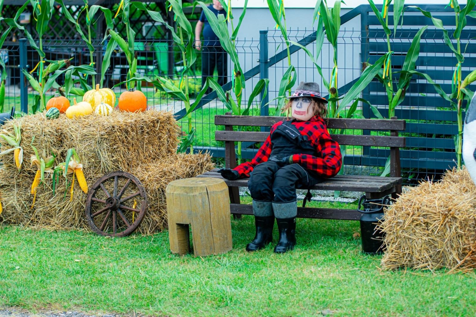 Zdjęcie w galerii na portalu naszwodzislaw.com: Gminne dożynki i zacny jubileusz Skrbeńska za nami [FOTO] wiadomości z regionu