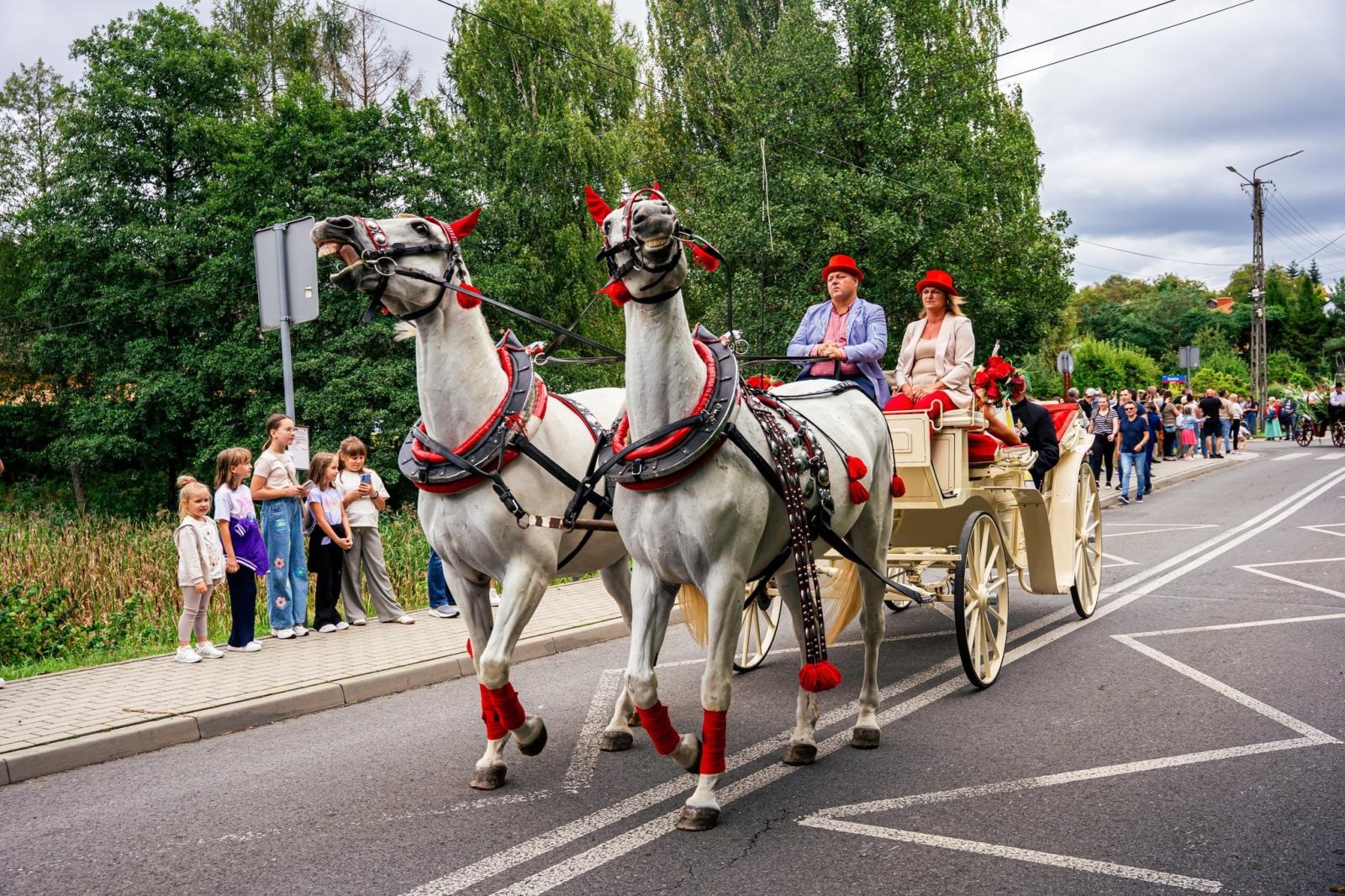 Zdjęcie w galerii na portalu naszwodzislaw.com: Gminne dożynki i zacny jubileusz Skrbeńska za nami [FOTO] wiadomości z regionu