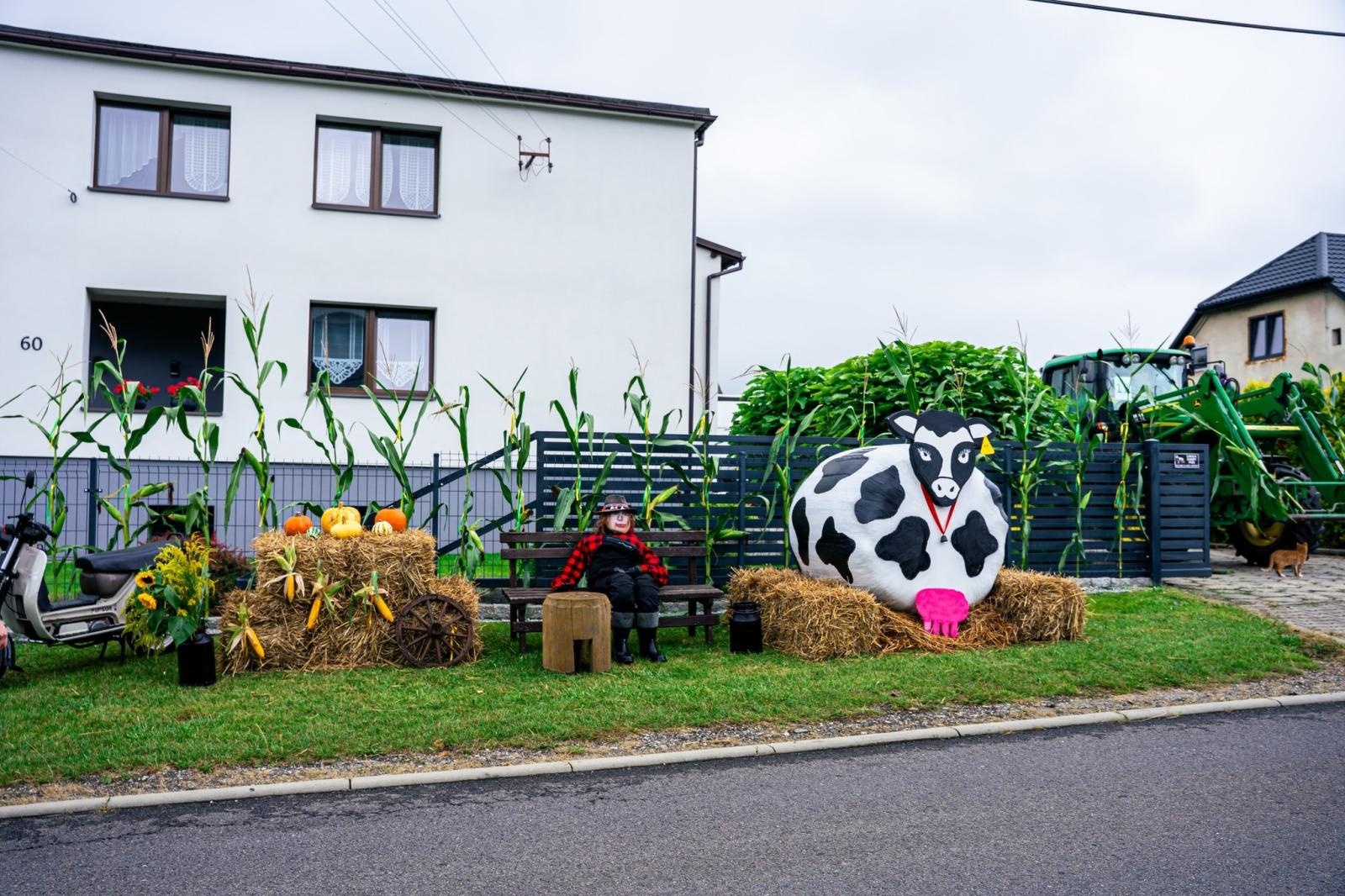 Zdjęcie w galerii na portalu naszwodzislaw.com: Gminne dożynki i zacny jubileusz Skrbeńska za nami [FOTO] wiadomości z regionu