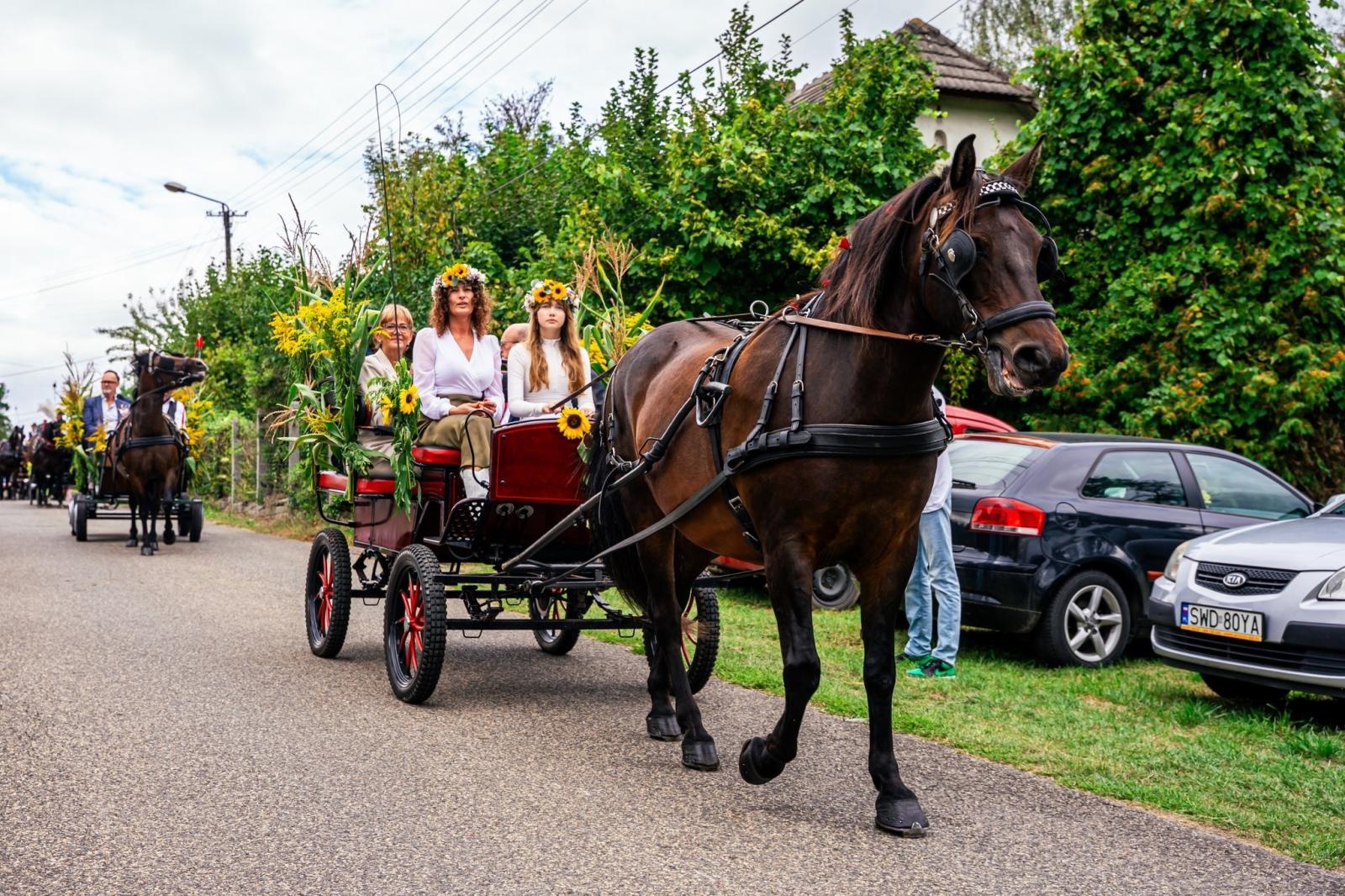 Zdjęcie w galerii na portalu naszwodzislaw.com: Gminne dożynki i zacny jubileusz Skrbeńska za nami [FOTO] wiadomości z regionu