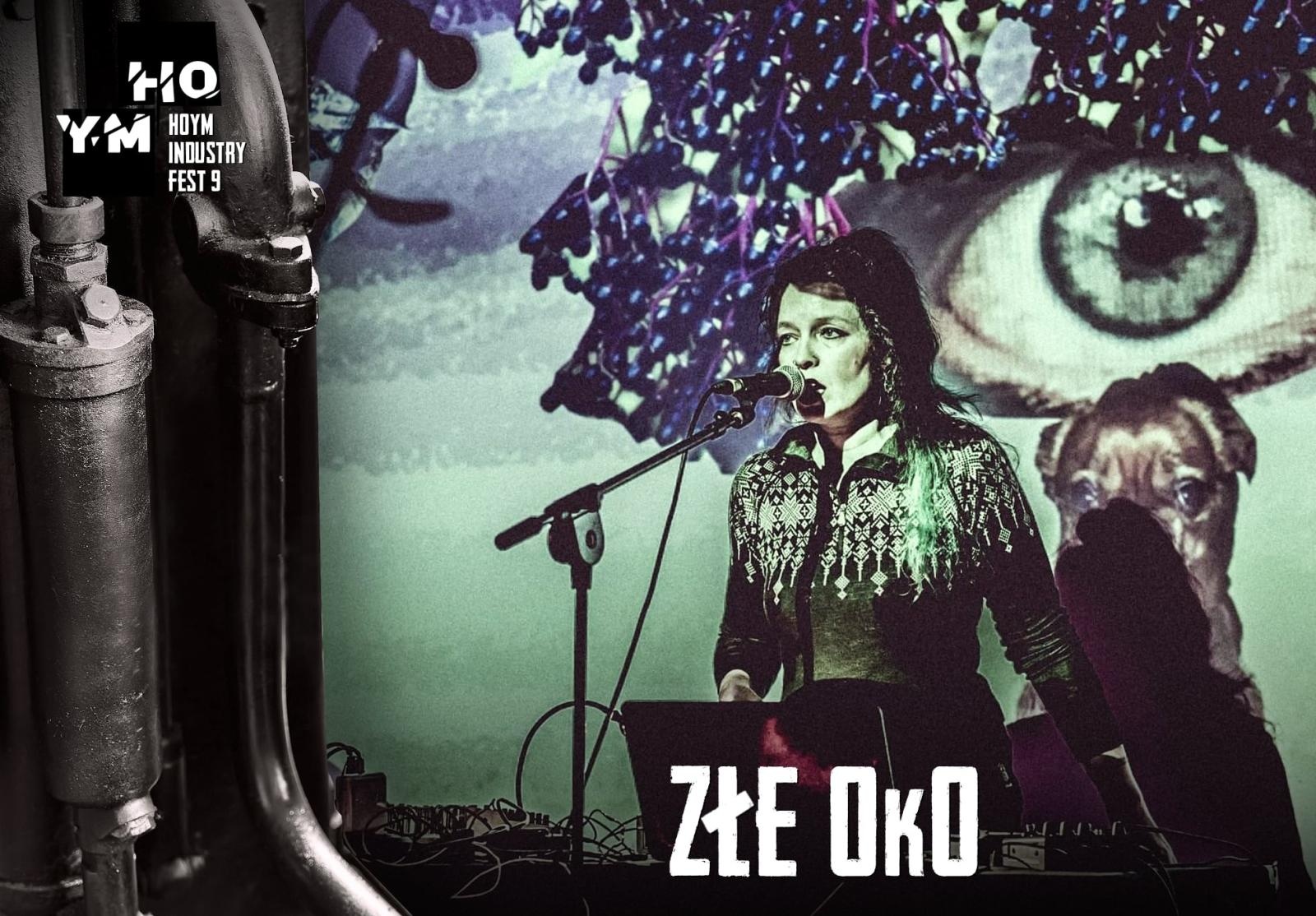 Zdjęcie w galerii na portalu naszwodzislaw.com: HOYM Industry FEST 9 w Rybniku, tym razem międzynarodowo! wiadomości z regionu