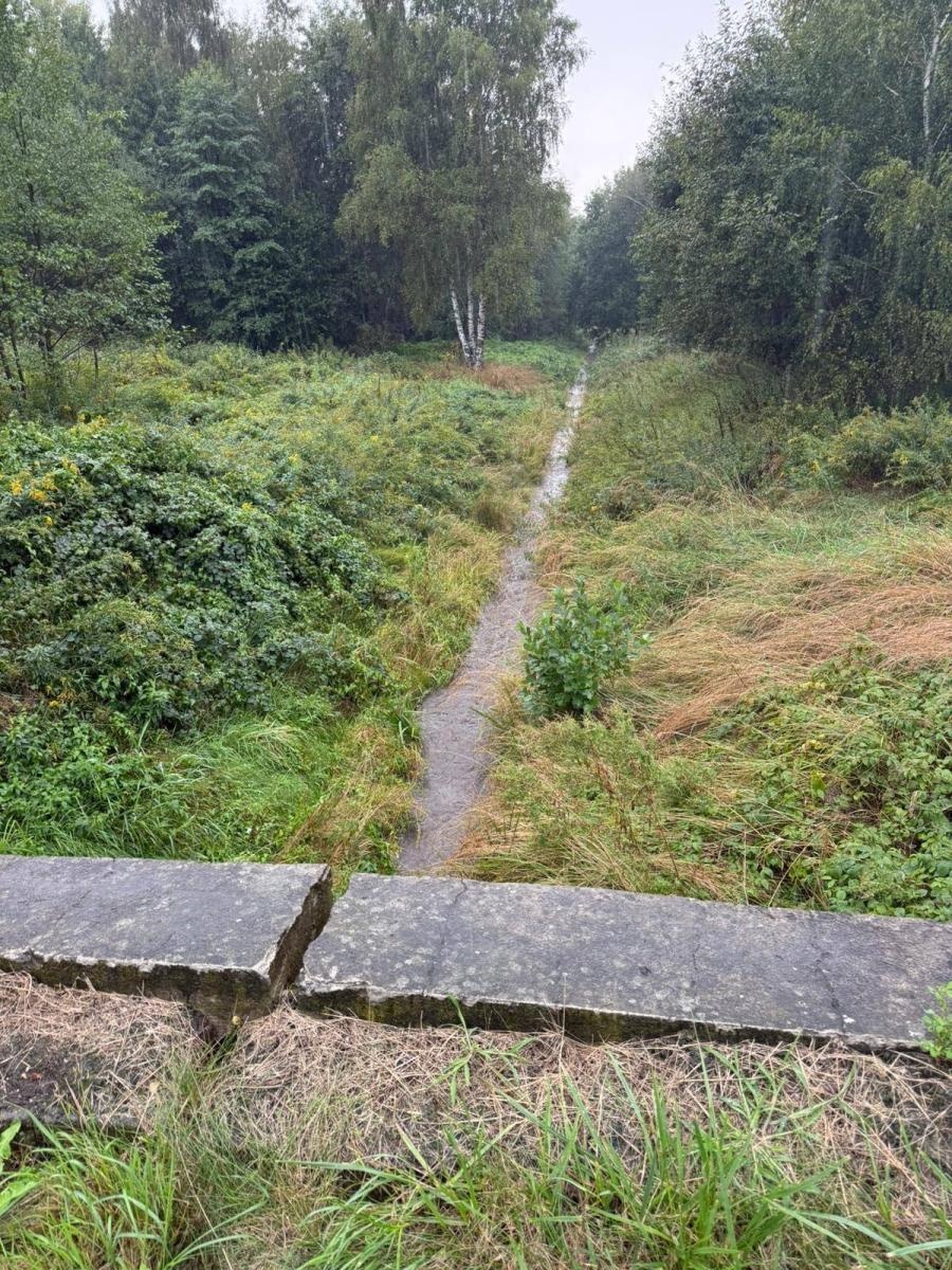 Zdjęcie w galerii na portalu naszwodzislaw.com: Ciągle pada... Monitoring sytuacji hydrologicznej w gminie Mszana [FOTO] wiadomości z regionu